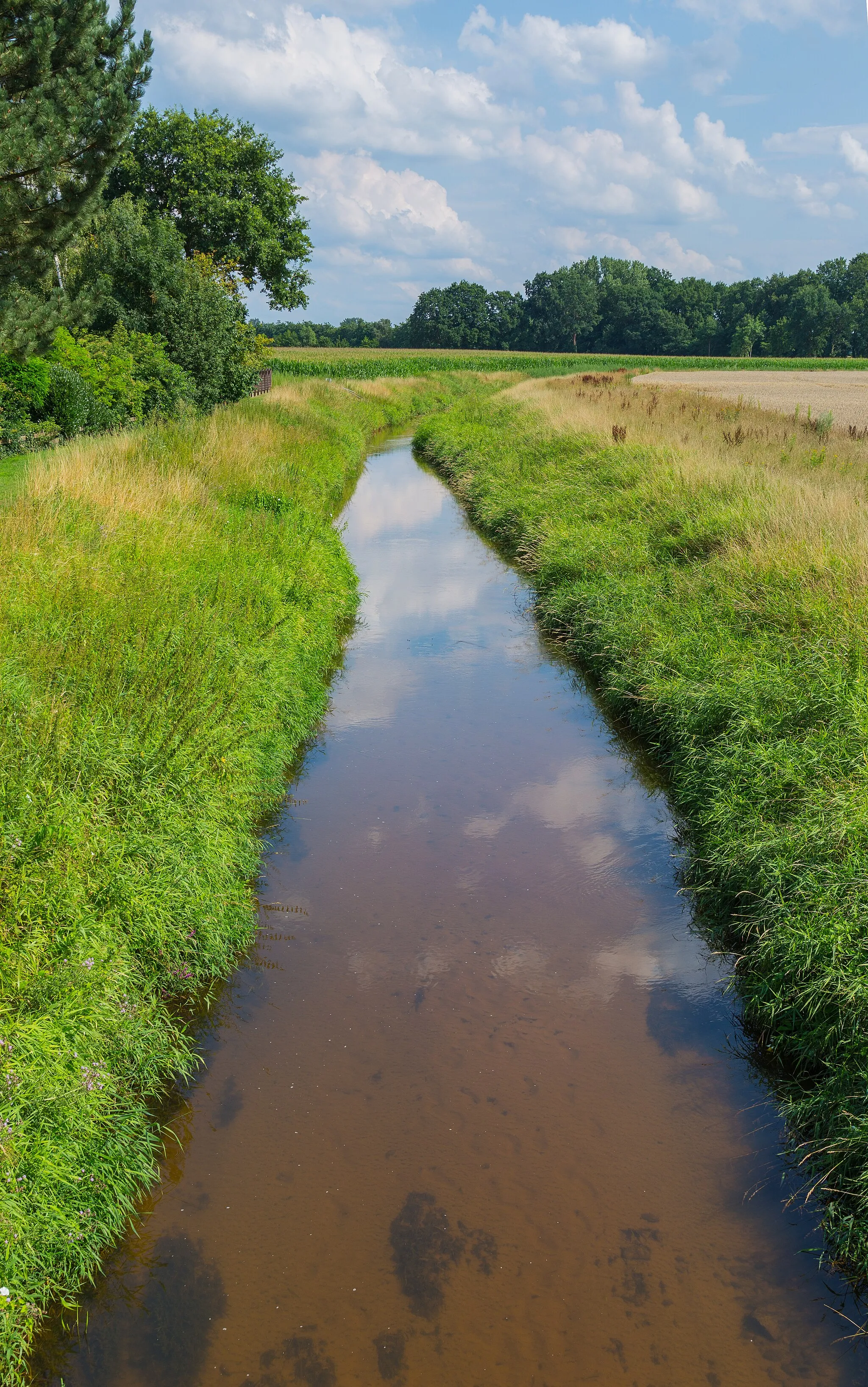 Photo showing: Die Giegel Aa in Hopsten, Kreis Steinfurt, Nordrhein-Westfalen, Deutschland.