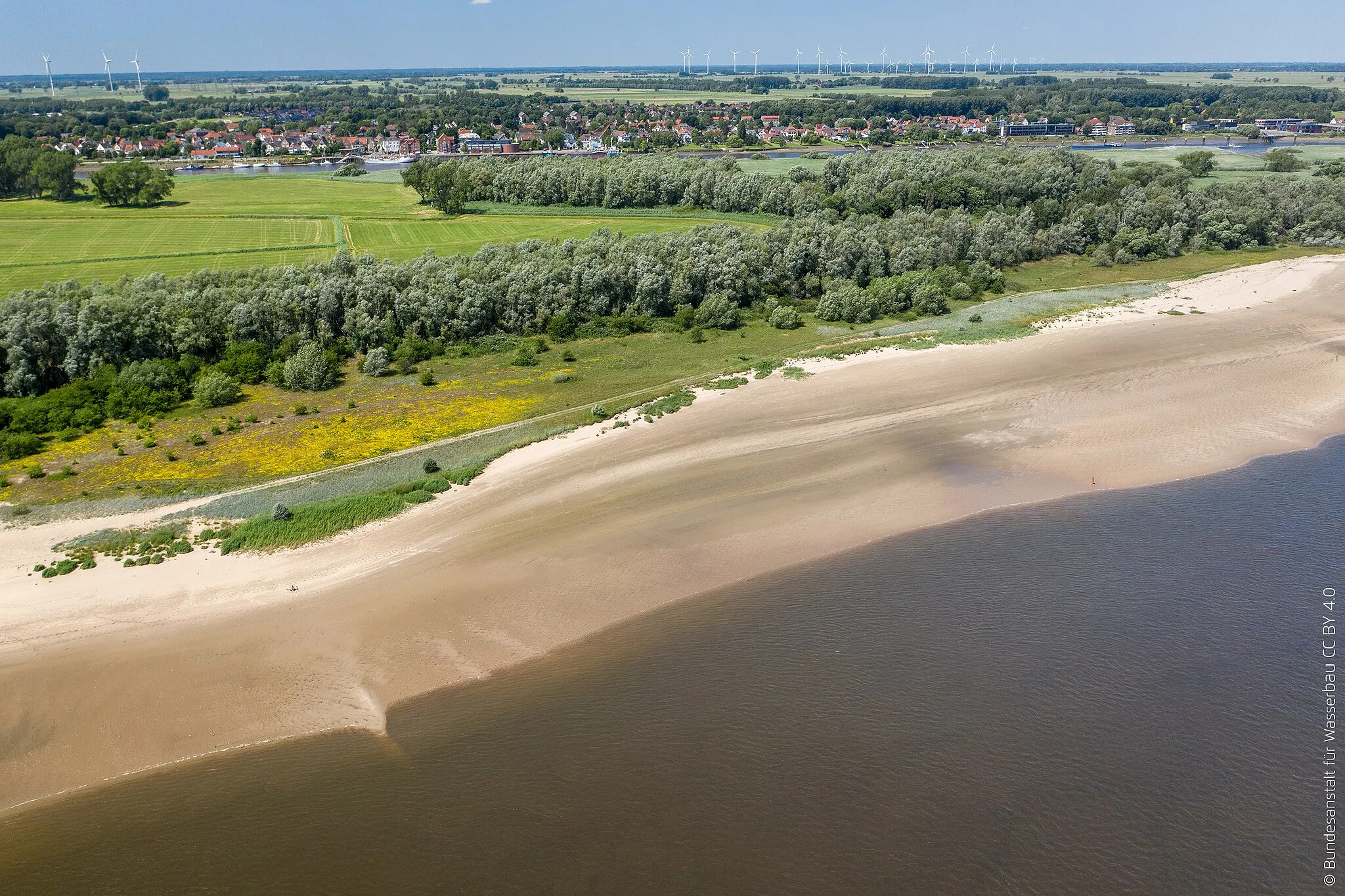 Photo showing: Natürliche Uferdynamik und Ufervegetation am Elsflether Sand