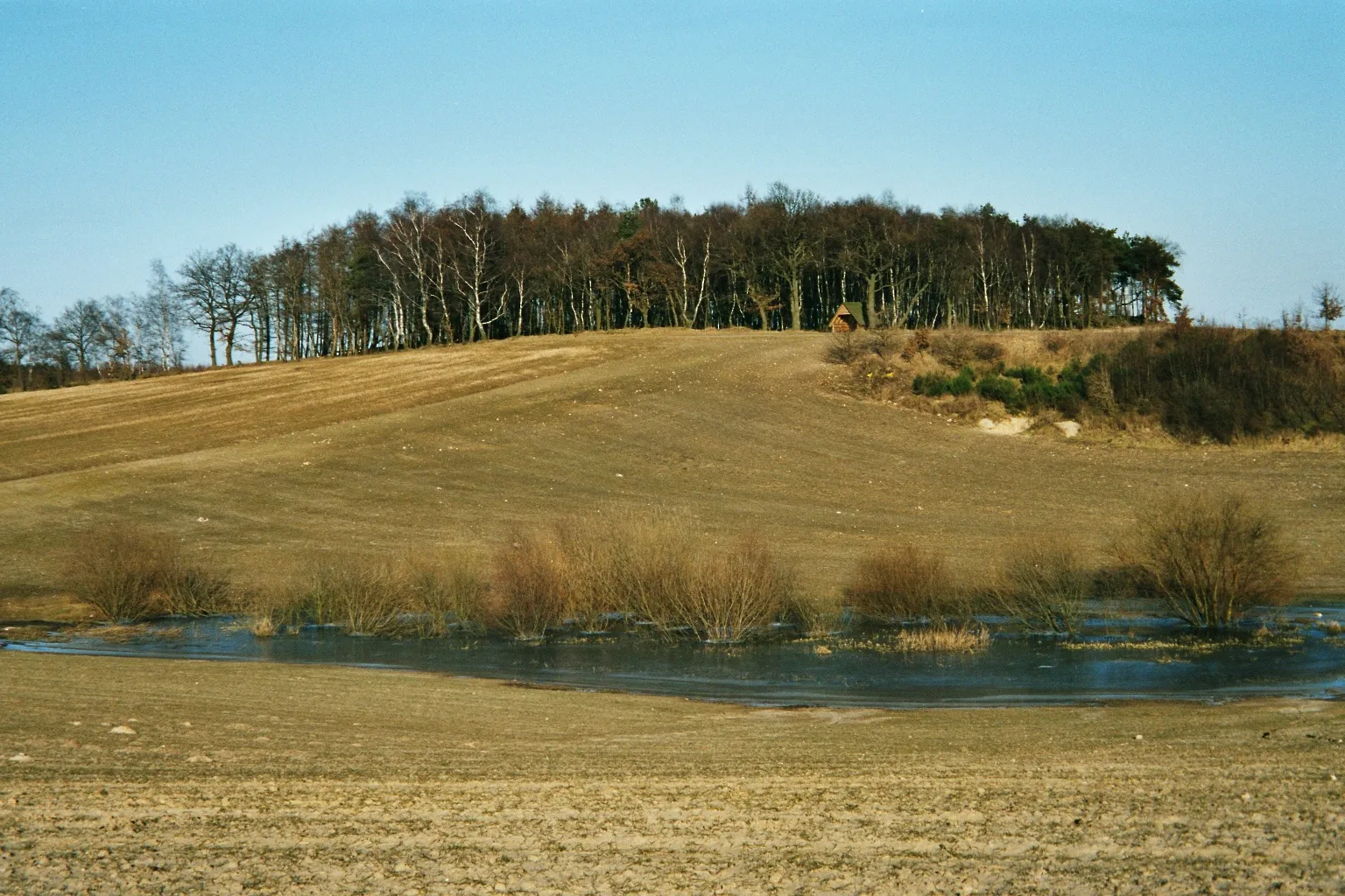 Photo showing: Endmoräne bei Dalinghausen (Damme/Dümmer)
