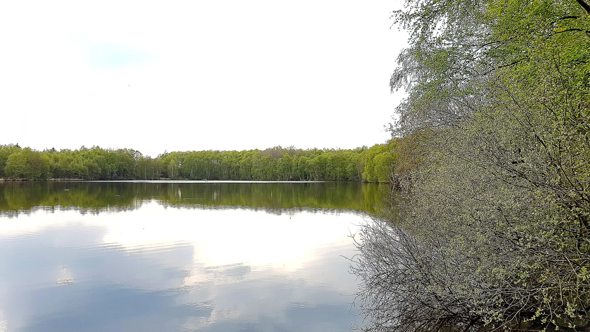 Photo showing: Das Bild zeigt die „Kieskuhle“ (Bodenabbau) im Naturschutzgebiet „Roggenmoor“ in 26689 Apen. Das Gebiet steht seit 1986 unter Naturschutz. An den Ufern wächst u.a. der fleischfressende Sonnentau.