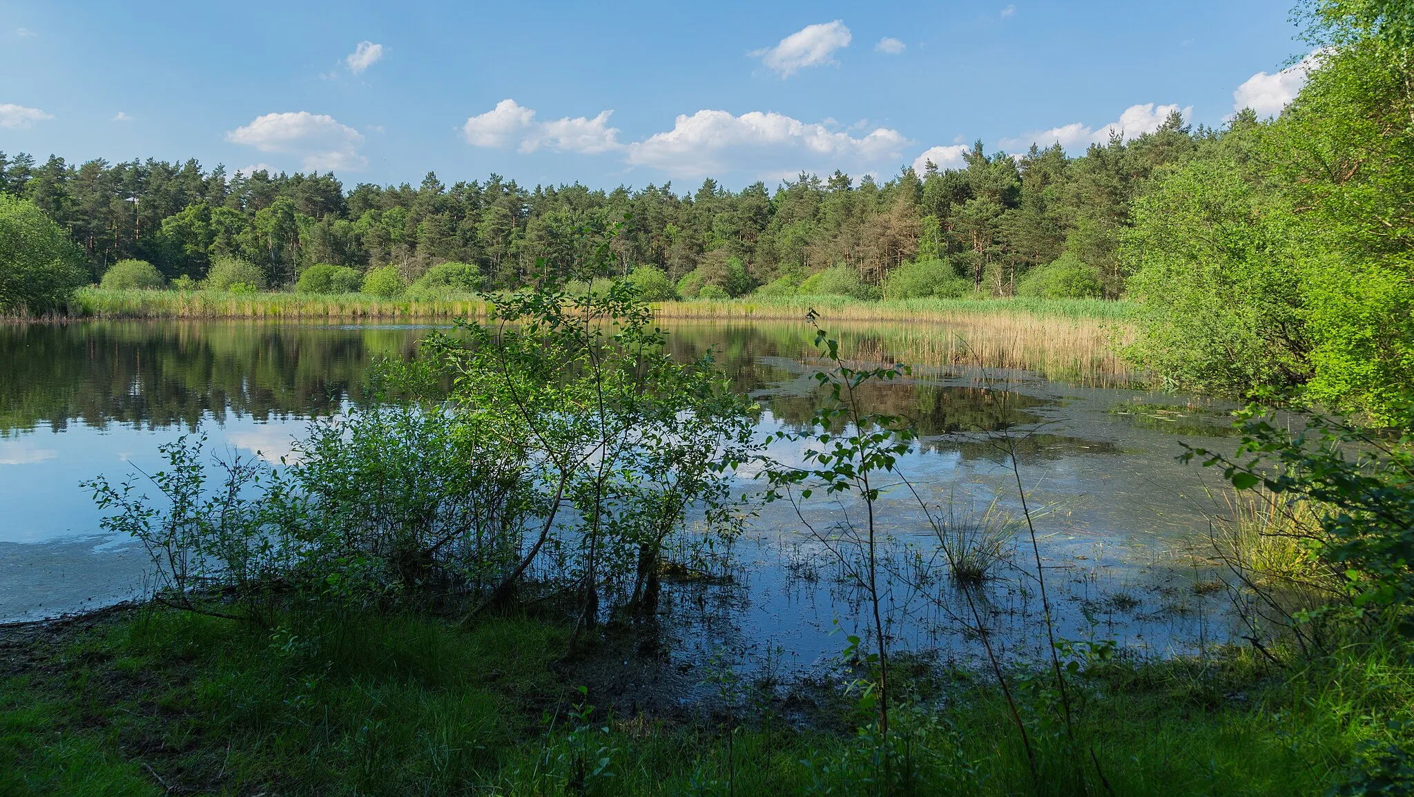 Photo showing: This is a picture of the protected area listed at WDPA under the ID