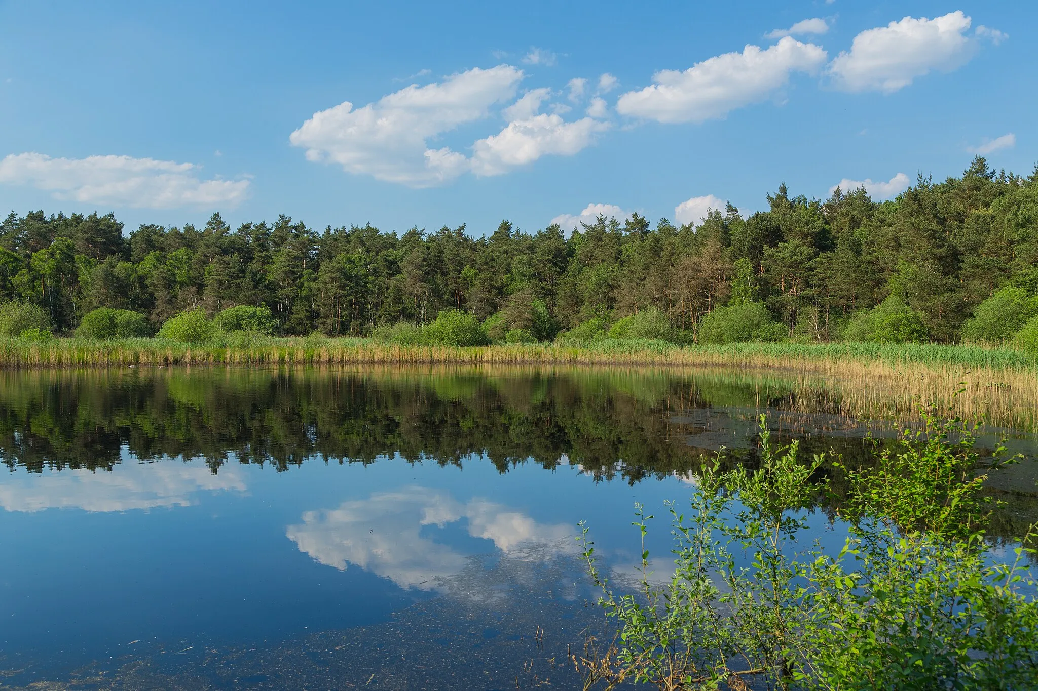 Photo showing: This is a picture of the protected area listed at WDPA under the ID