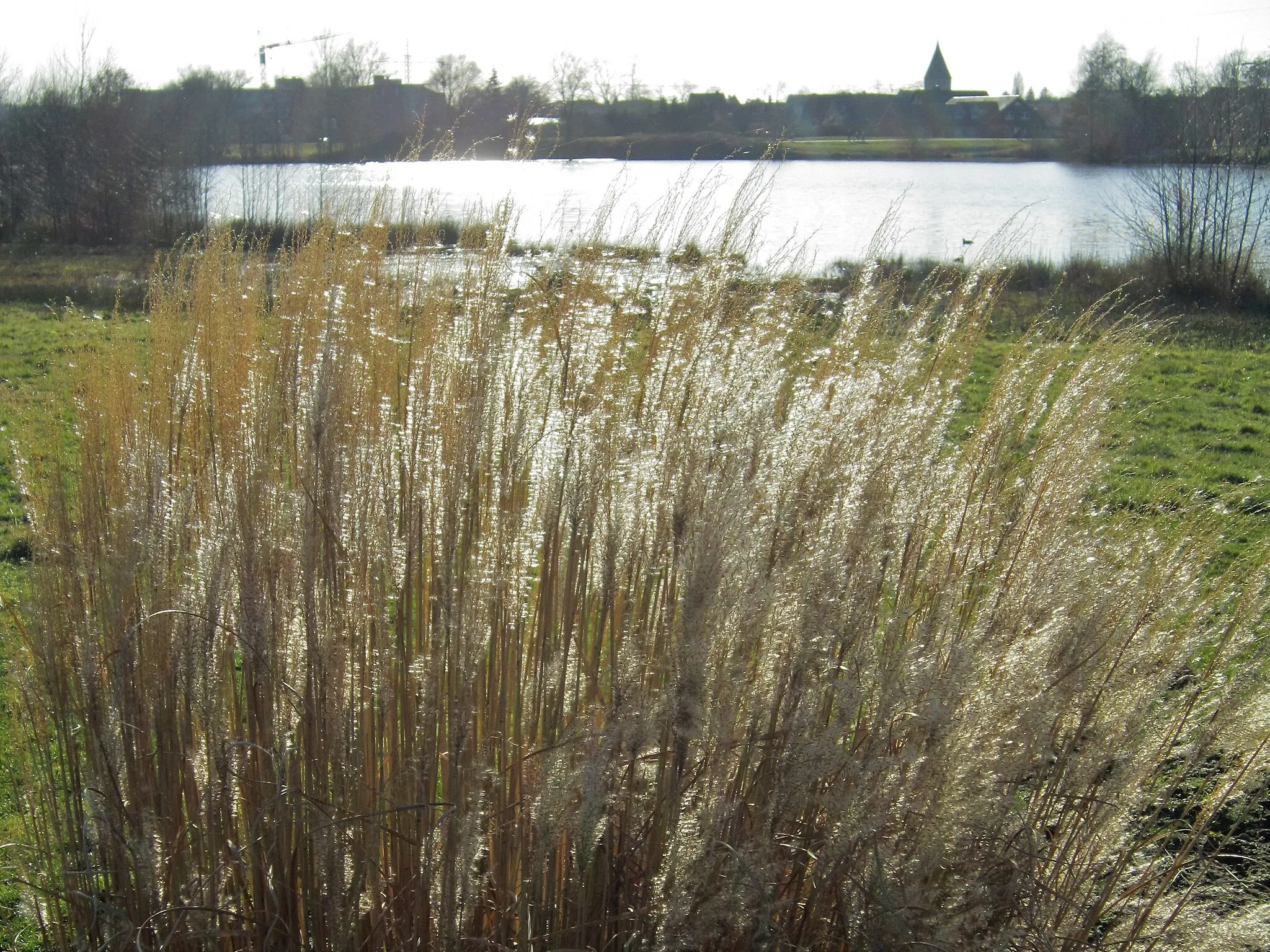 Photo showing: Nördlicher Hasesee in Bramsche im Vorfrühling 2021