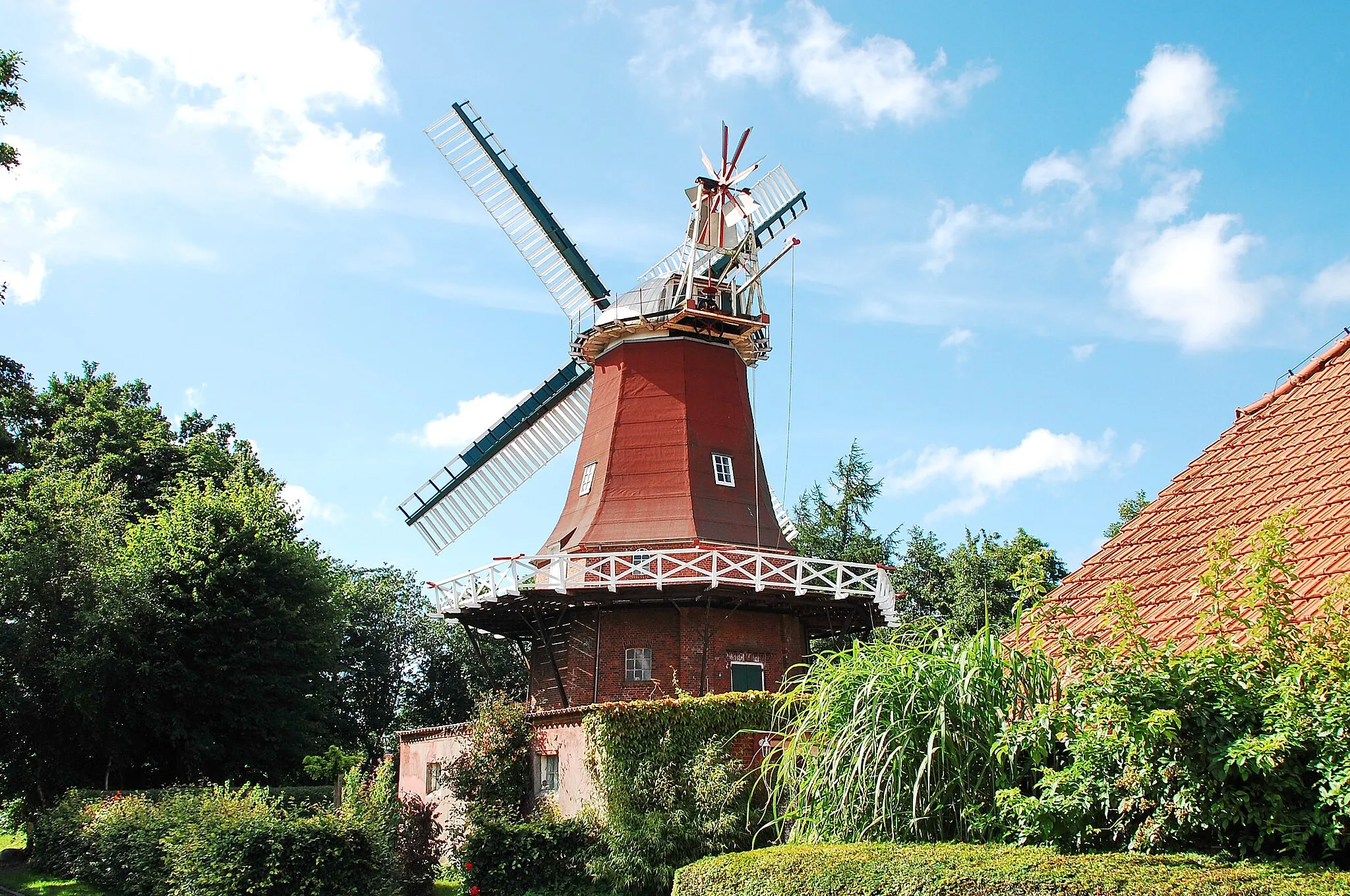 Photo showing: Geschichte der Mühle in Berumerfehn
erste Mühle
1863 - Um 1863 wurde die Wasserschöpfmühle aus Halbemond abgebrochen und nach Berumerfehn transportiert.
1865 - Wiederaufbau der Mühle als Mahlmühle durch Heye A.Goldenstein.
1886 - Kauf der Mühle durch E. Schoof aus Petkum.
zweite Mühle (1-stöckiger Galerie-Holländer)
1904 - Umbau der Mühle zu einer 1-stöckigen Galerie-Holländermühle mit Steert und Segelgatterflügel. Mühlenachtkant und Kappe waren mit Dachpappe gedeckt.
1936 - Abbruch der Mühle zwecks Mühlenneubau. Kauf der östlichen Mühle Carolinensiel auf Abbruch durch Eilert Schoof. Diese Mühle stand auf dem alten Carolinensieler Deich, östlich der noch heute vorhandenen Mühle.
dritte Mühle (2-stöckiger Galerie-Holländer)
1937 - Bau der heutigen Mühle durch Eilert Schoof. Beim Bau wurden Teile der Carolinensieler Mühle verwendet. Mühlenbauer war Harders aus Emden.
1938 - Eilert Schoof verstarb. Nachfolger als Eigner und Betreiber wurde dessen Sohn, ebenfalls Eilert Schoof.
1964 - Einstellung des Windbetriebs. Es wurde nur noch mit Motorkraft (E-Motor) gearbeitet.
1966 - Abnahme der Flügel und der Mühlenkappe durch den Mühlenbauer Böök aus Dunum.
1973 - Einstellung des gesamten Mühlenbetriebes.
1983 - Gründung einer Interessengemeinschaft „Windmühle Berumerfehn“. Zielsetzung war die Restaurierung und die zukünftige Erhaltung der Mühle.
1984 - Beginn der Restaurierungsarbeiten.
Heute ist die Mühle wieder voll betriebsfähig.

Quellen: Angaben von Cornelius Schoof (1997), bearbeitet von Bernd Käding