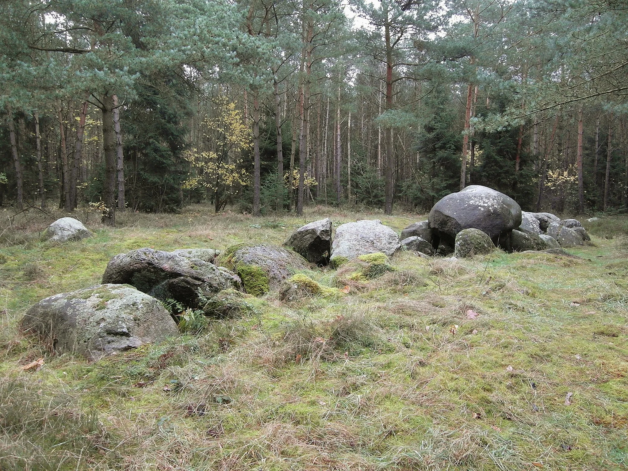 Photo showing: Megalithic tomb "Auf dem Radberg" (district Emsland, Lower Saxony).