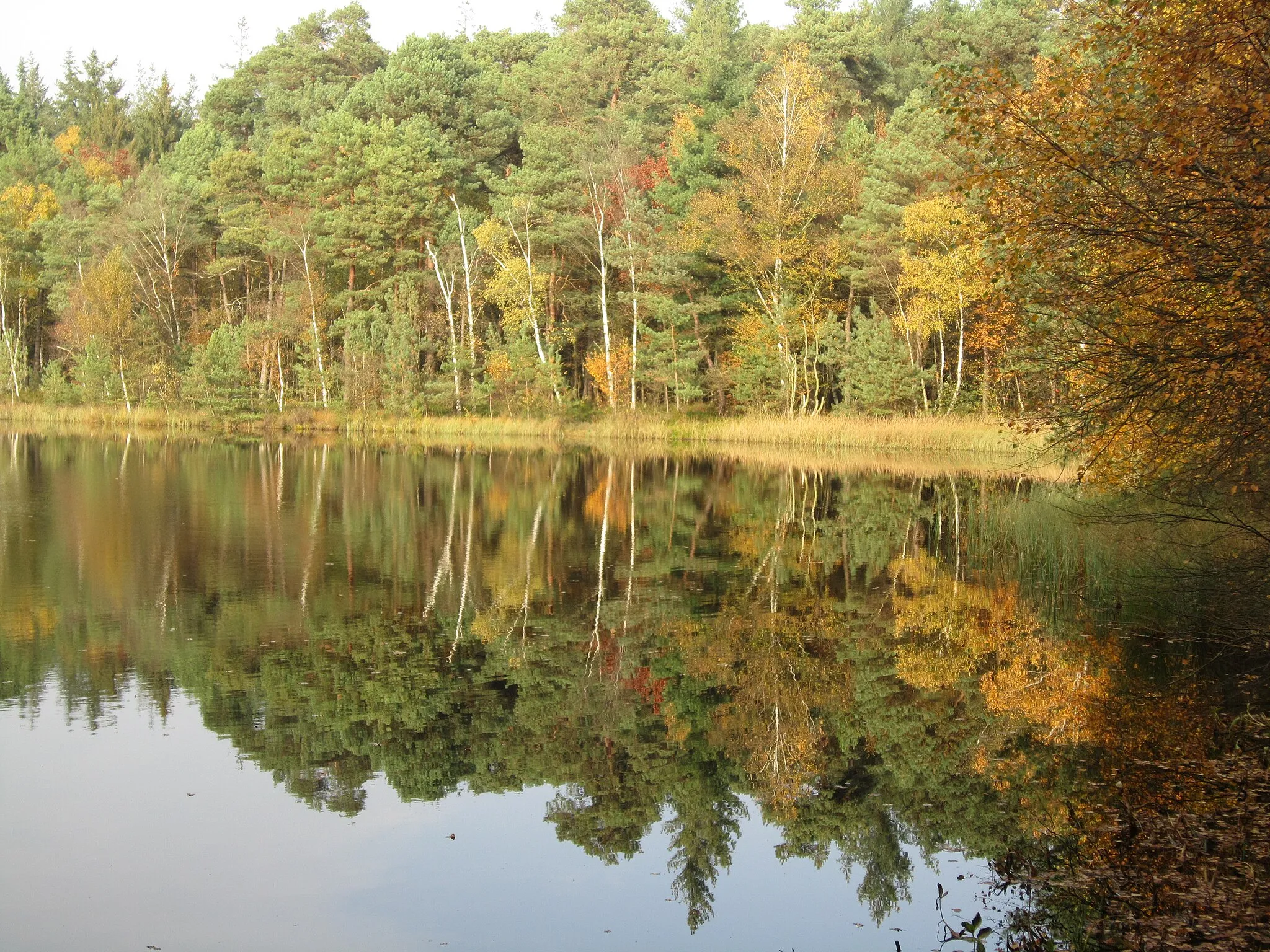 Photo showing: Lake "Dianasee" in "Baumweg"  State Forest (community of Emstek)