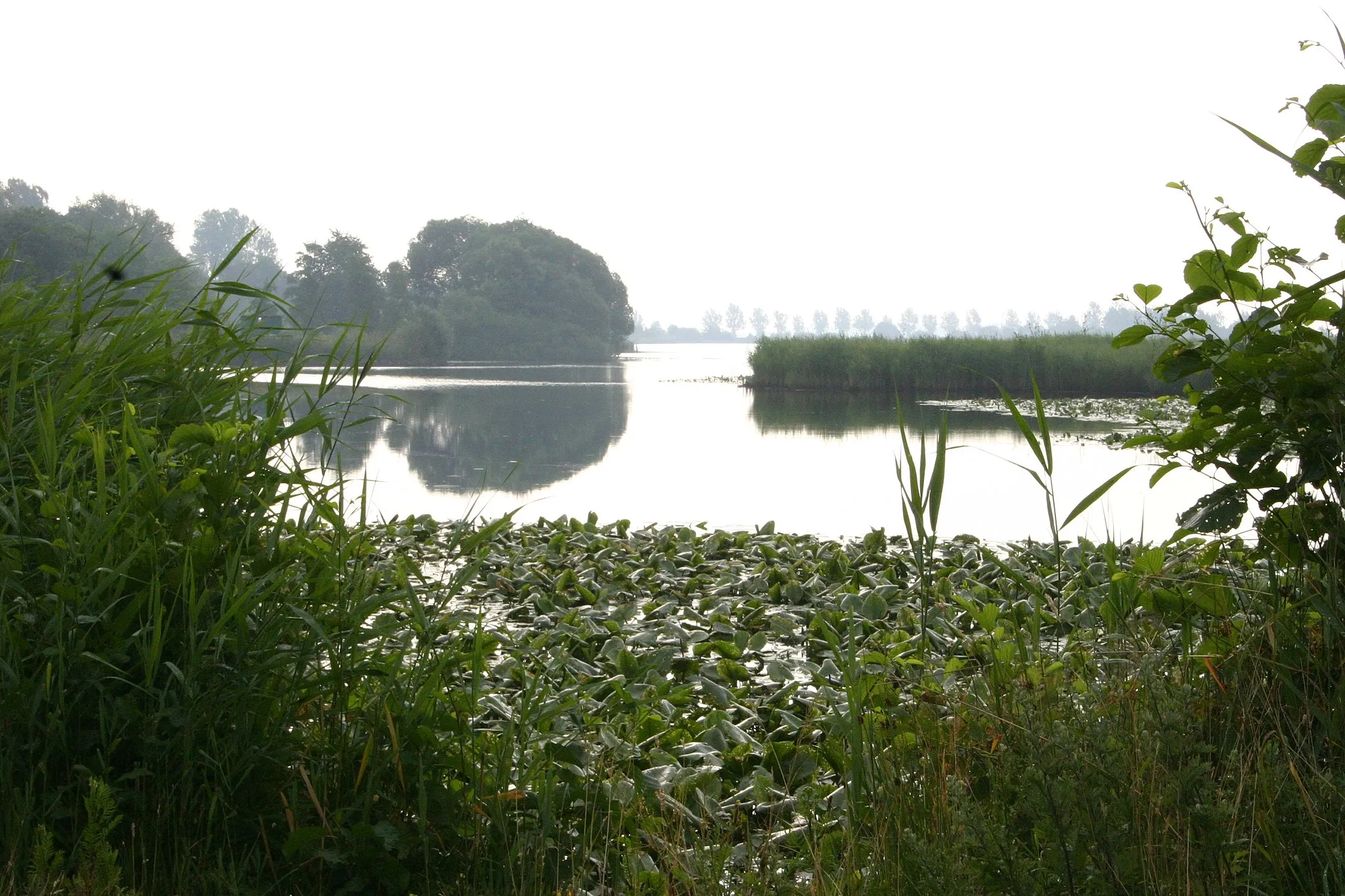 Photo showing: View from the west of the peat-fen lake of Sandwater, near Ihlow, in the district of Aurich, East Frisia, Lower Saxony, Germany