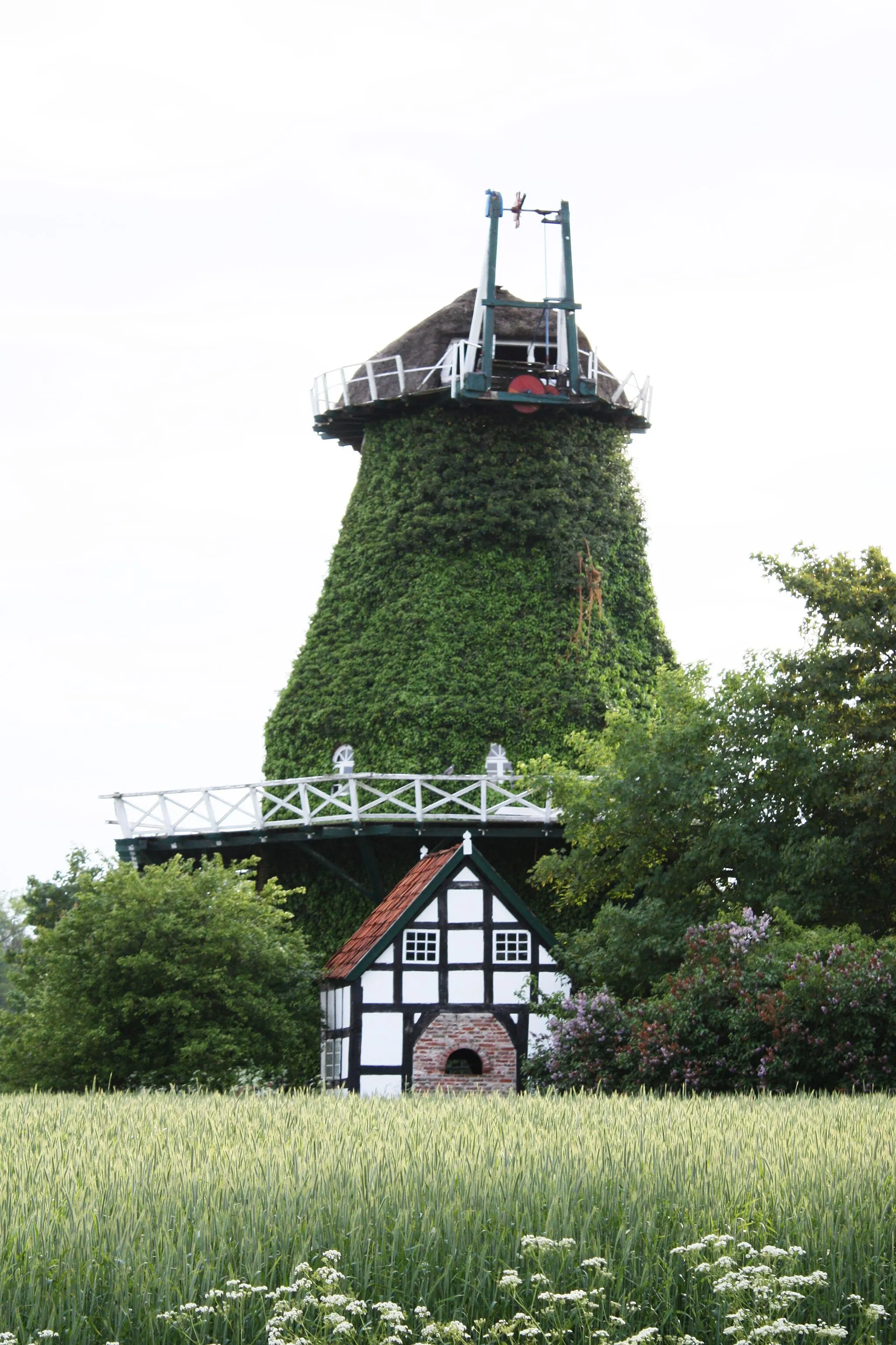 Photo showing: Barver, alte Windmühle