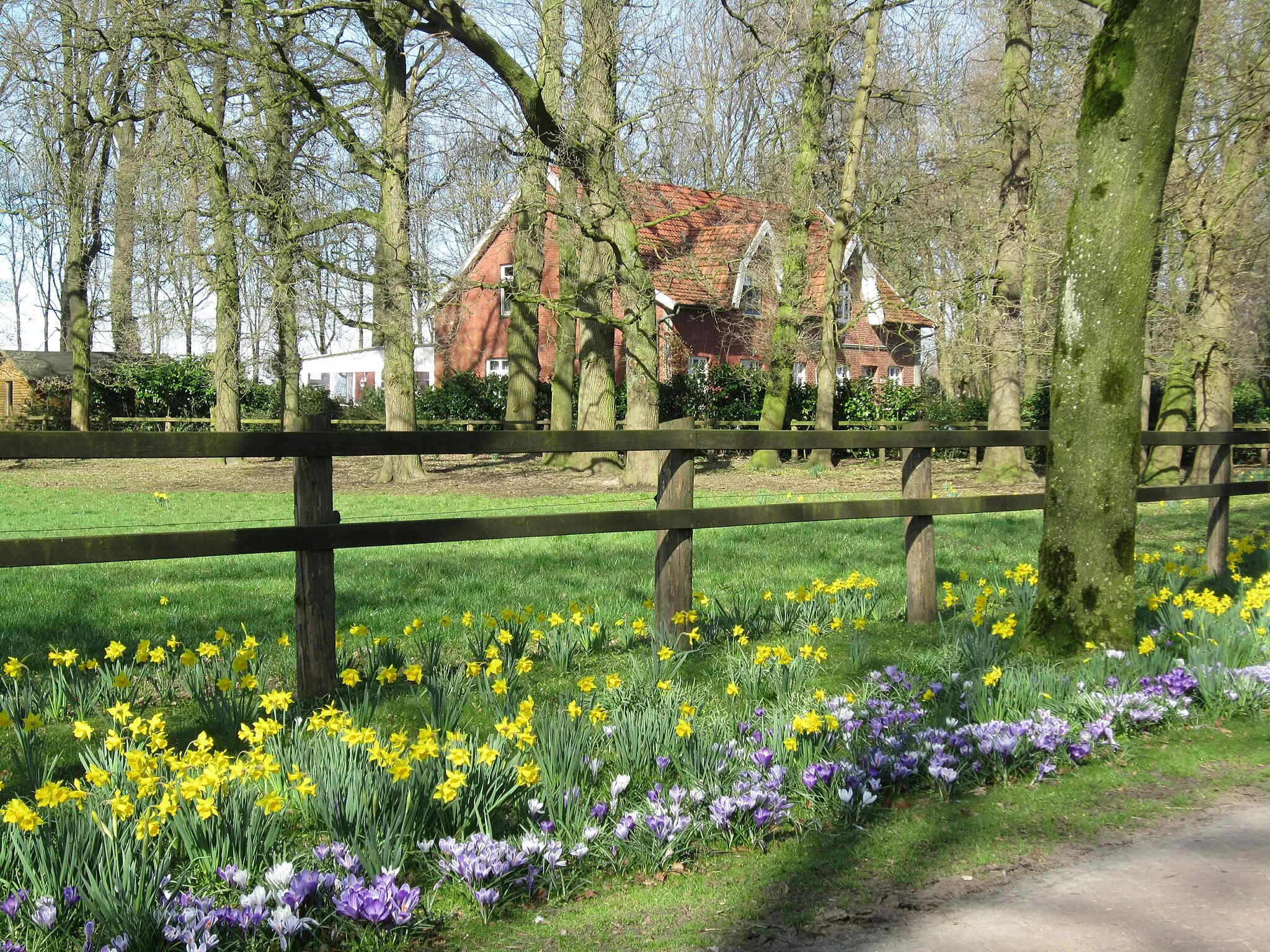 Photo showing: Osterblumenfest in Auen-Holthaus (Gemeinde Lindern, Landkreis Cloppenburg, Niedersachsen)