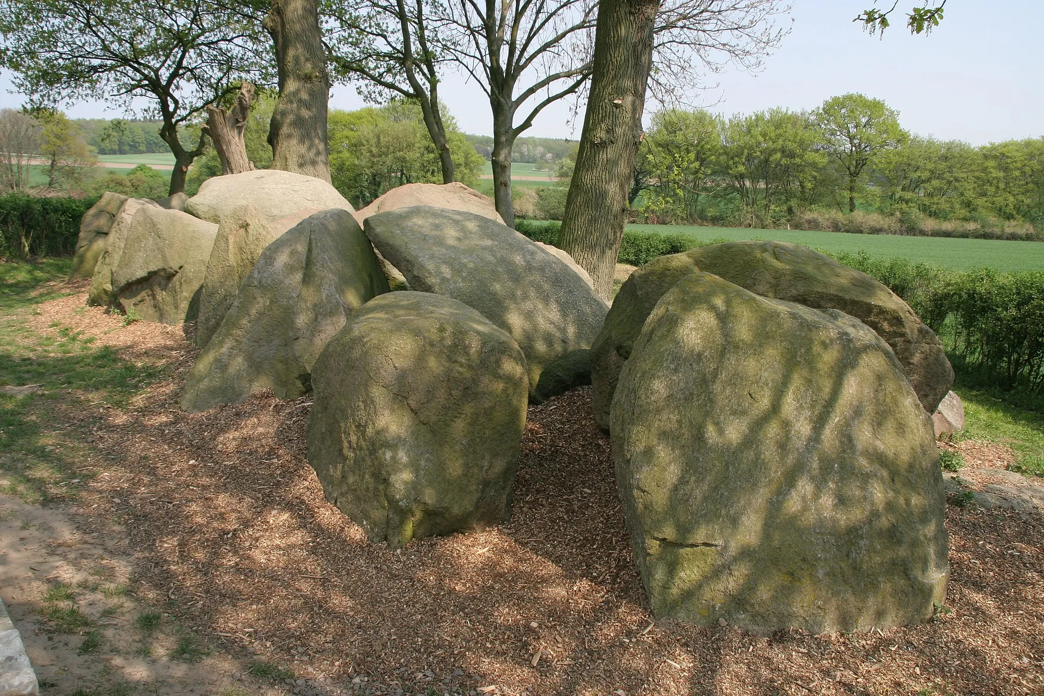 Photo showing: Jeggen: megalithic chambered tomb "Jeggener Steine"