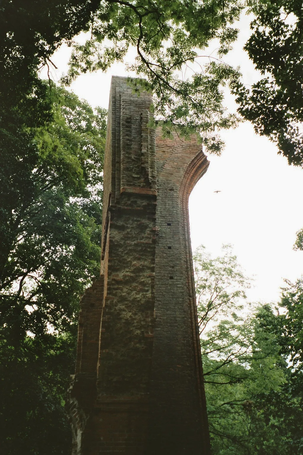 Photo showing: Ruine des Klosters Hude