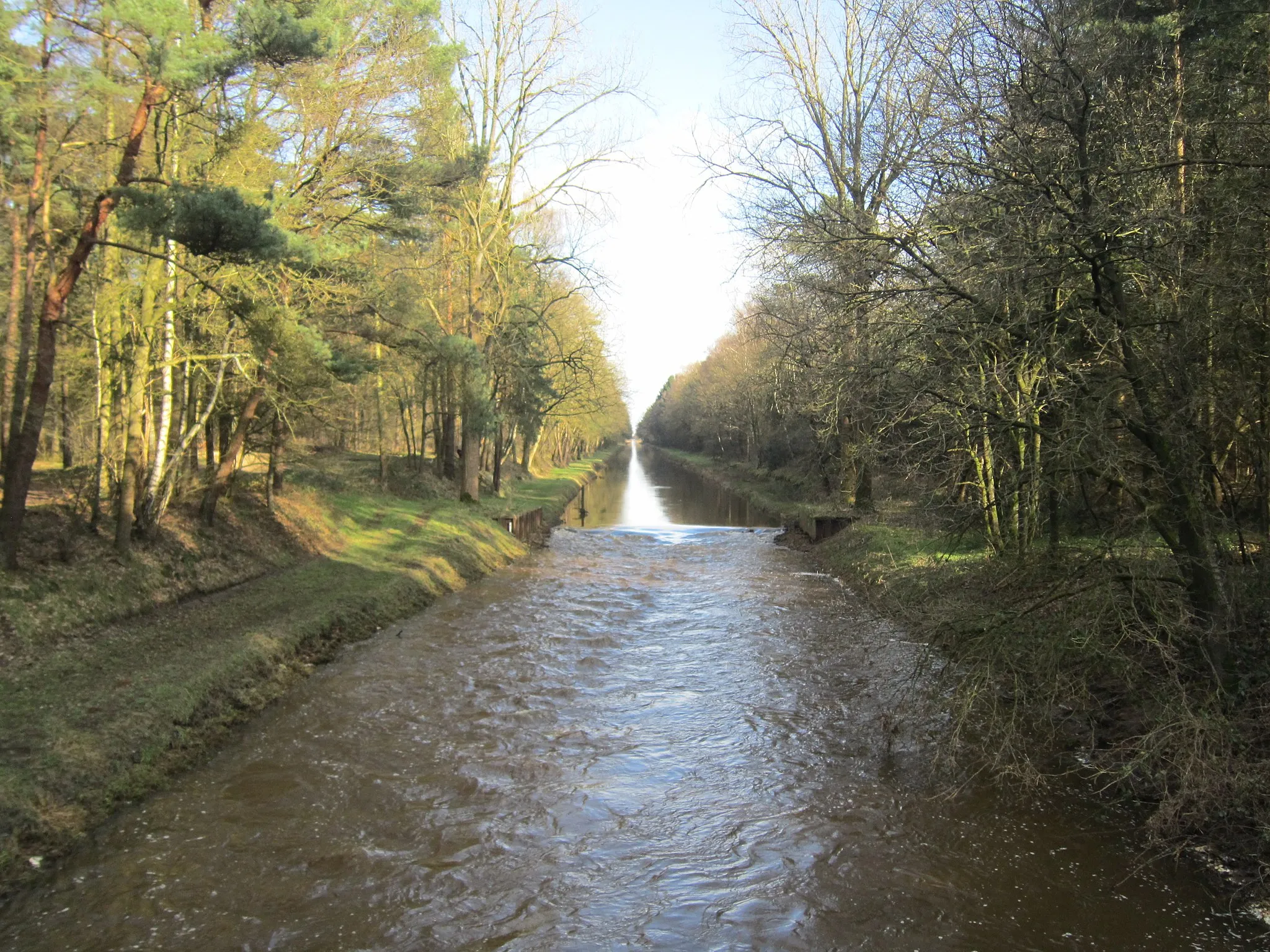 Photo showing: Hahnenmoorkanal east of the road Herzlake-Berge