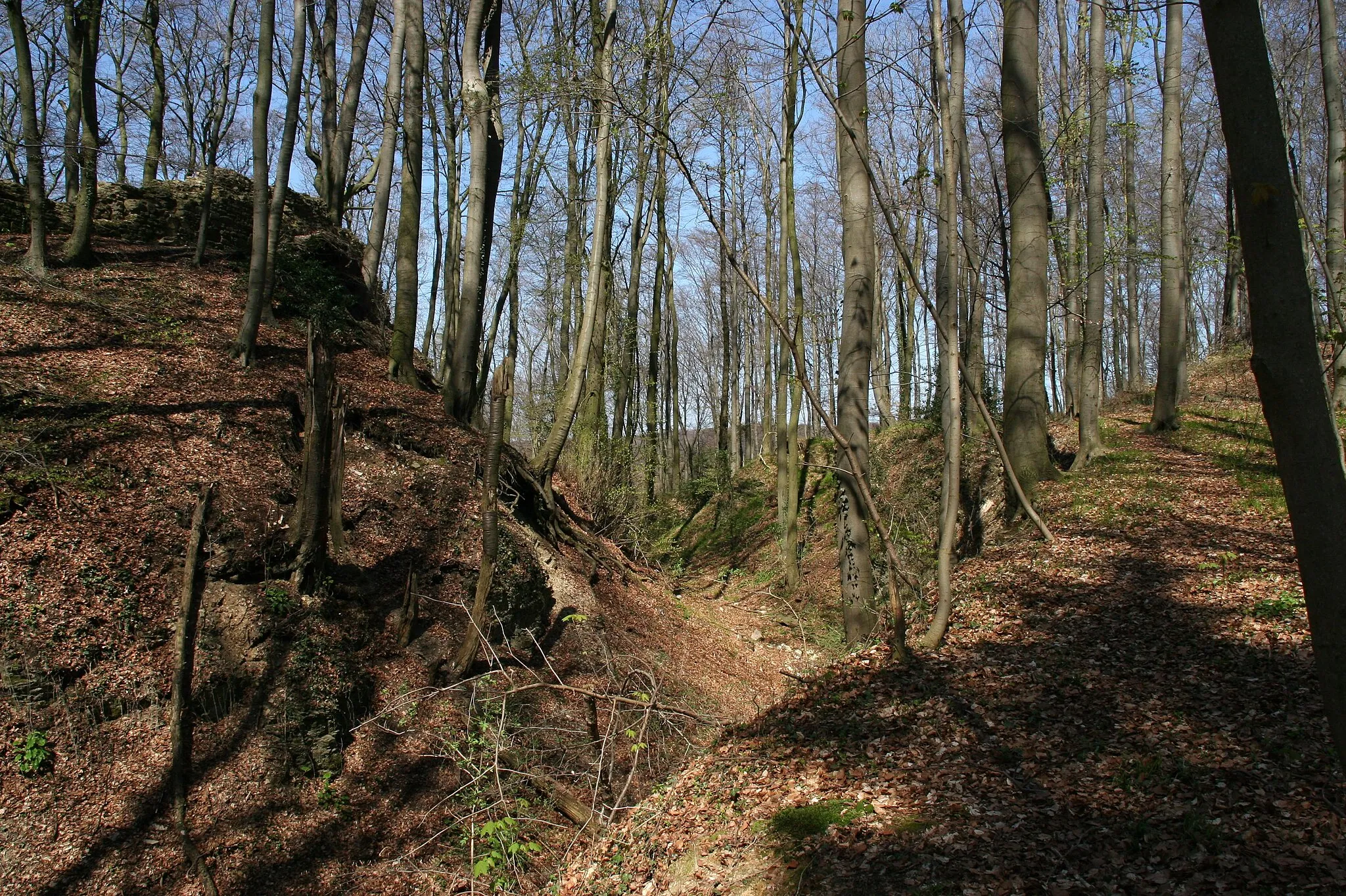 Photo showing: Holte: old walls and ramparts of the Holter Burg