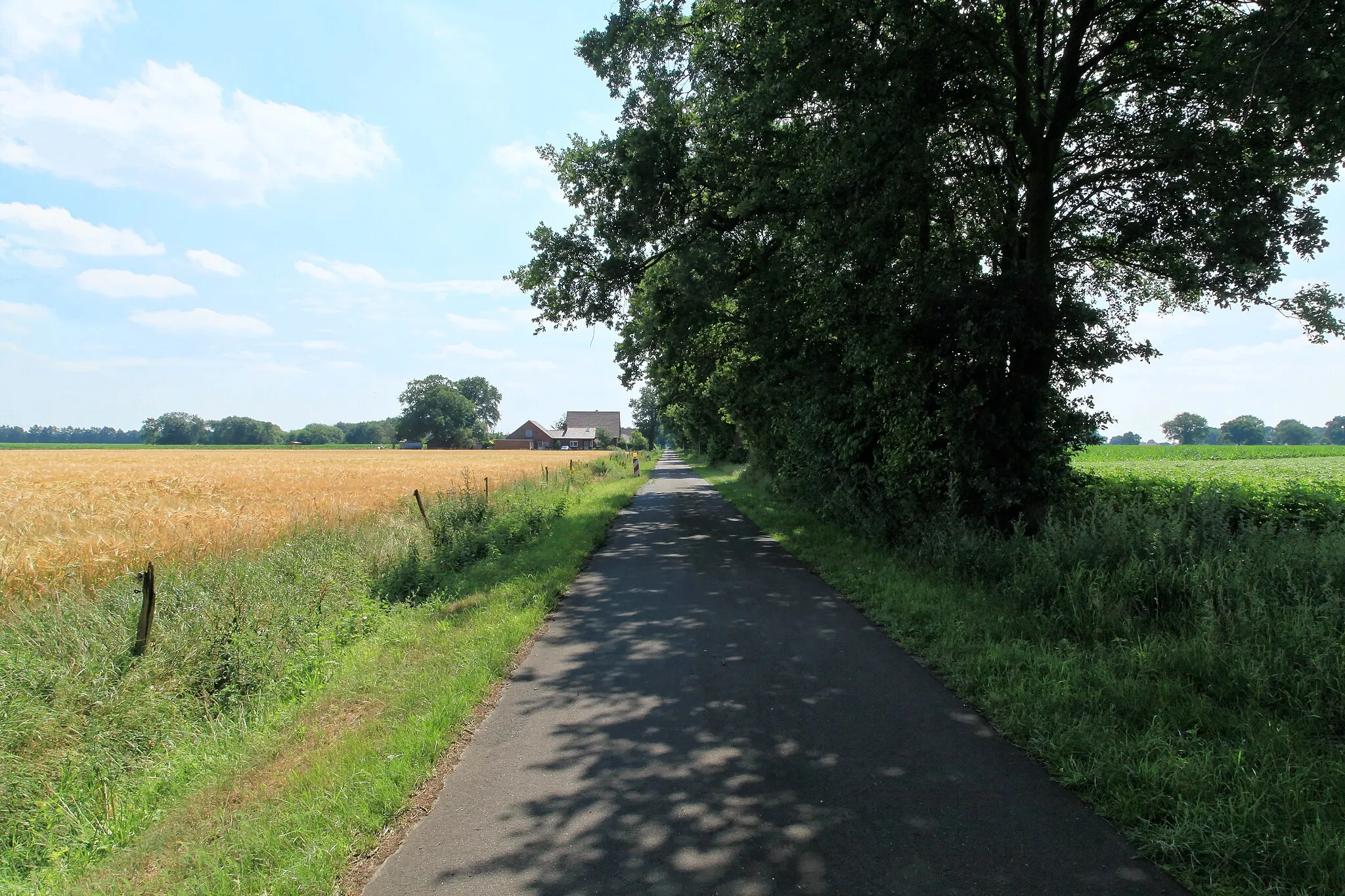 Photo showing: Östlicher Zweig der Straße Neudörpen in Neudörpen in Dörpen
