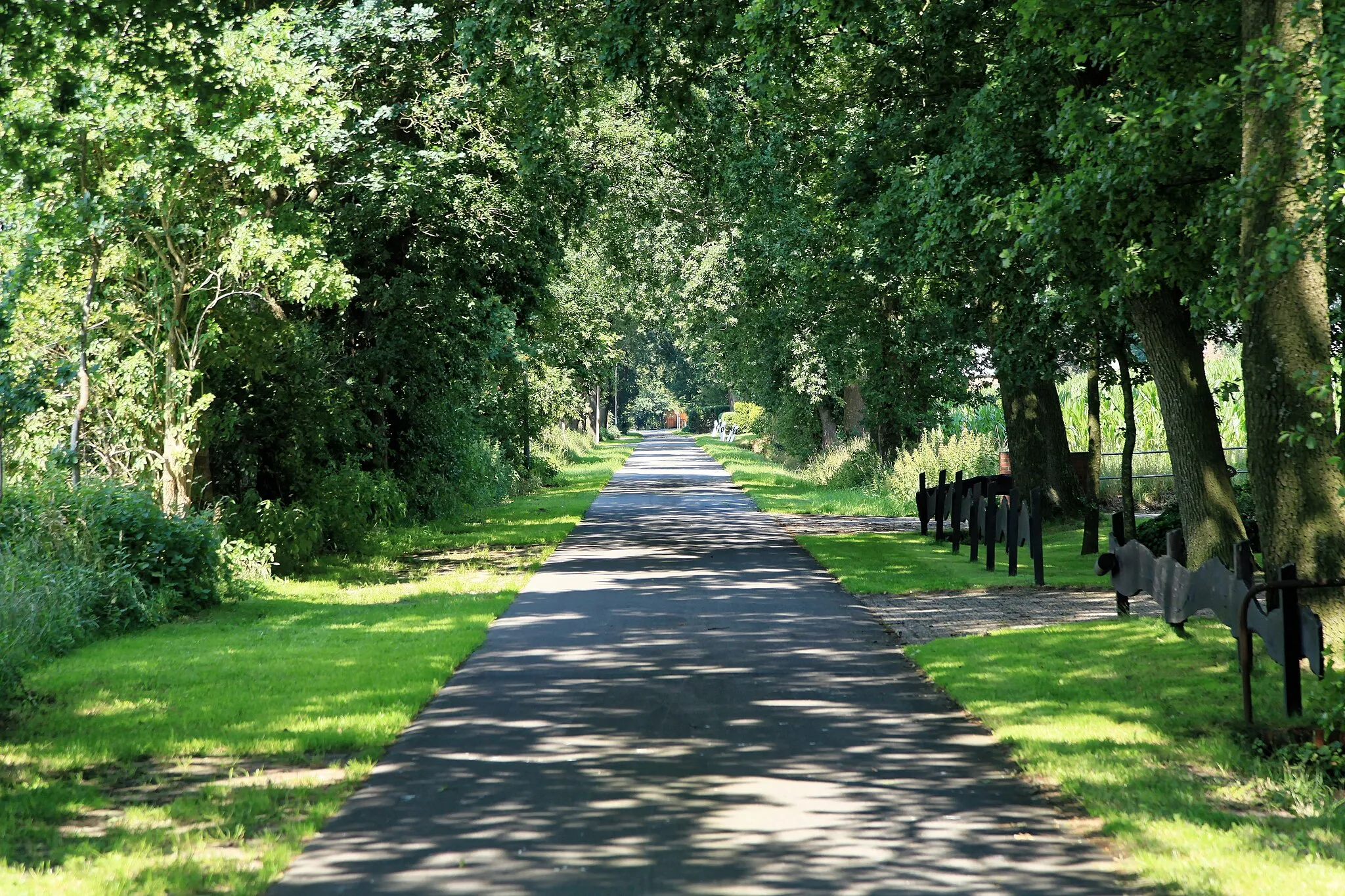 Photo showing: Östlicher Zweig der Straße Neudörpen in Neudörpen in Dörpen