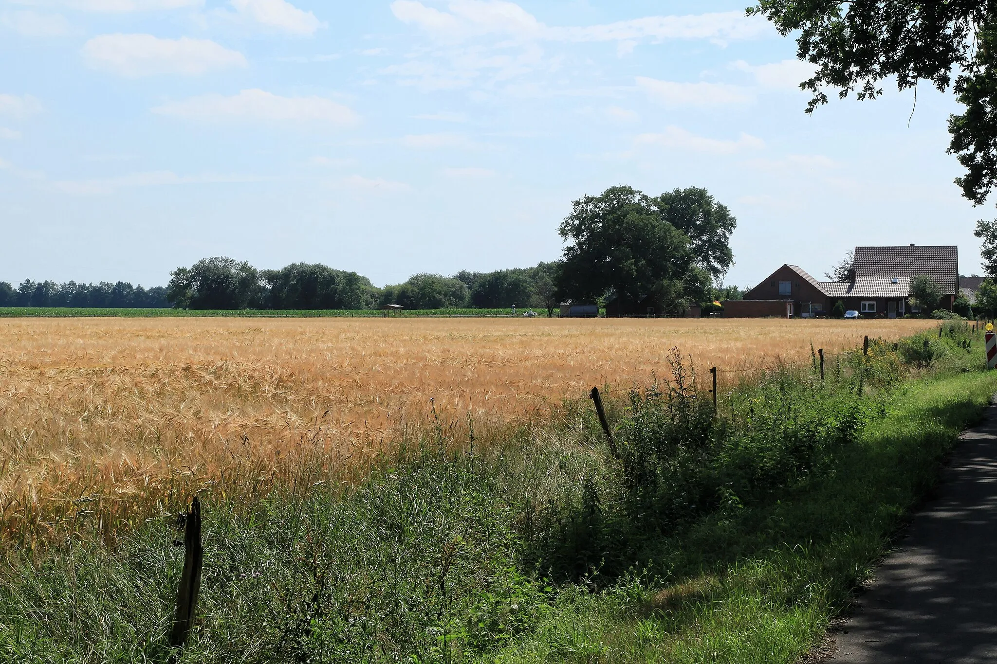 Photo showing: Östlicher Zweig der Straße Neudörpen in Neudörpen in Dörpen