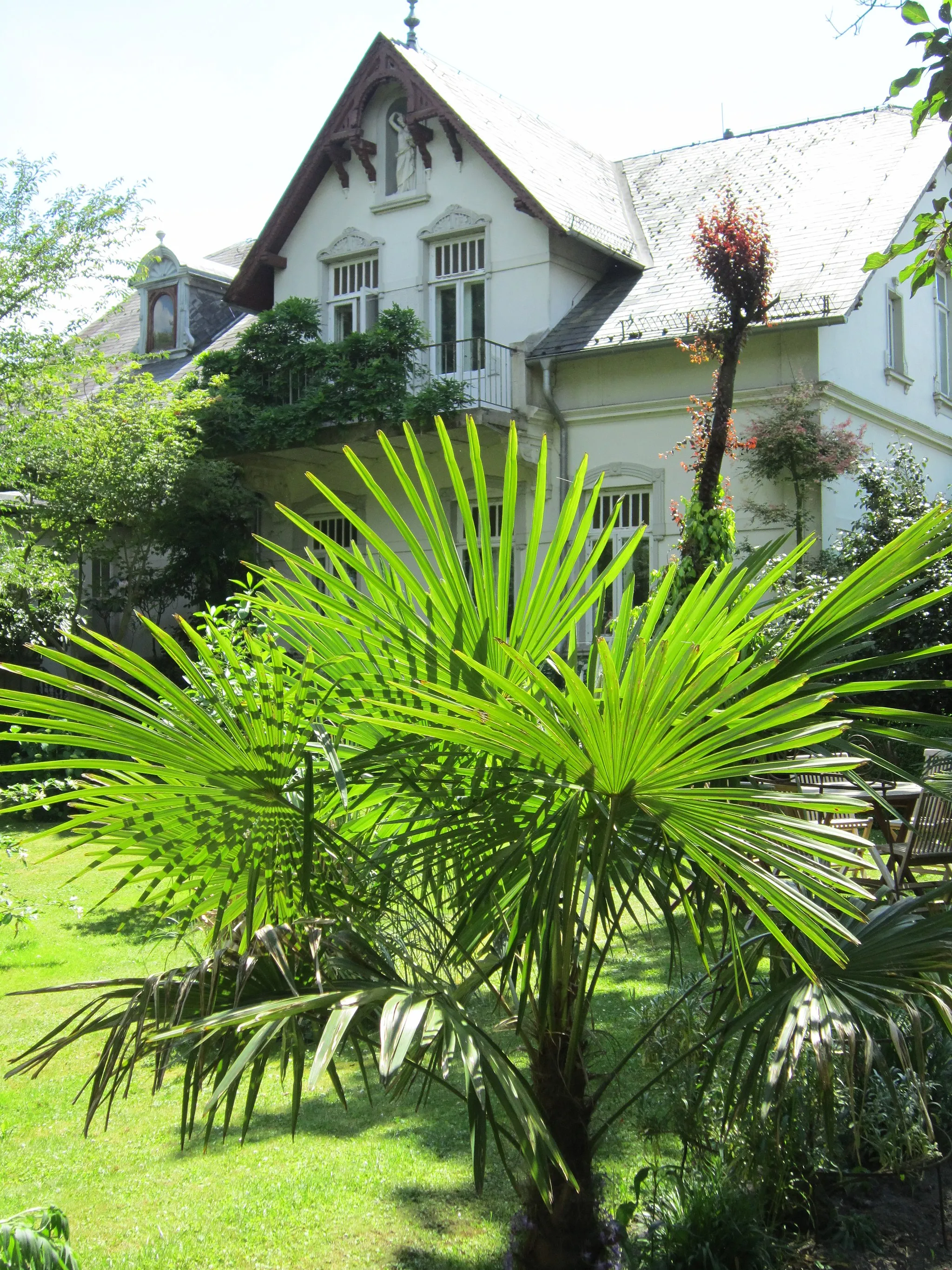 Photo showing: Fest eingepflanzte Palmen neben dem Jugendstilhaus des Arboretums Neuenkoop in der Gemeinde Berne (Landkreis Wesermarsch in Niedersachsen)