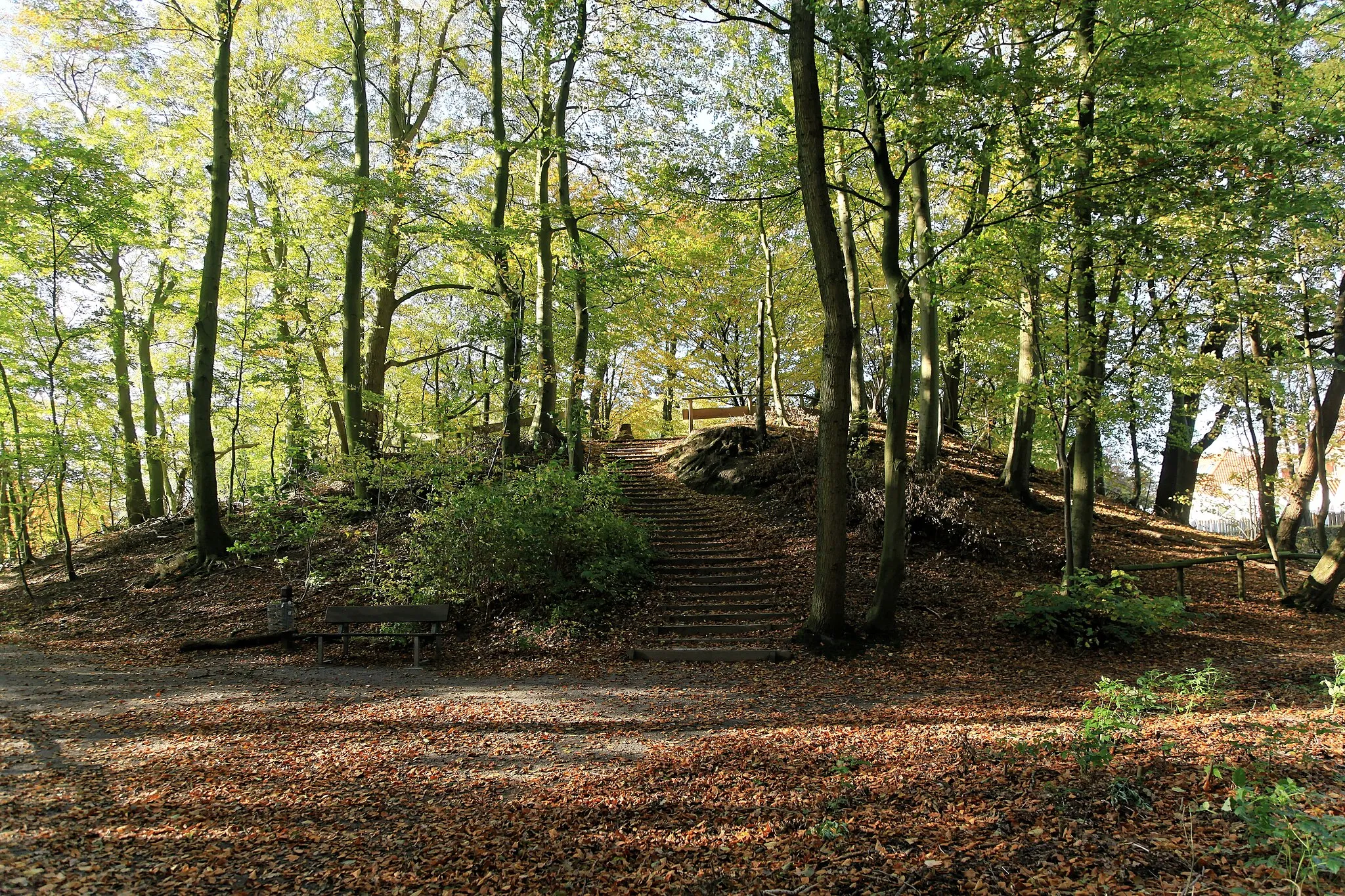 Photo showing: Hügel 2 der Burg Elmendorf, NSG Dreibergen, Dreiberger Straße in Bad Zwischenahn