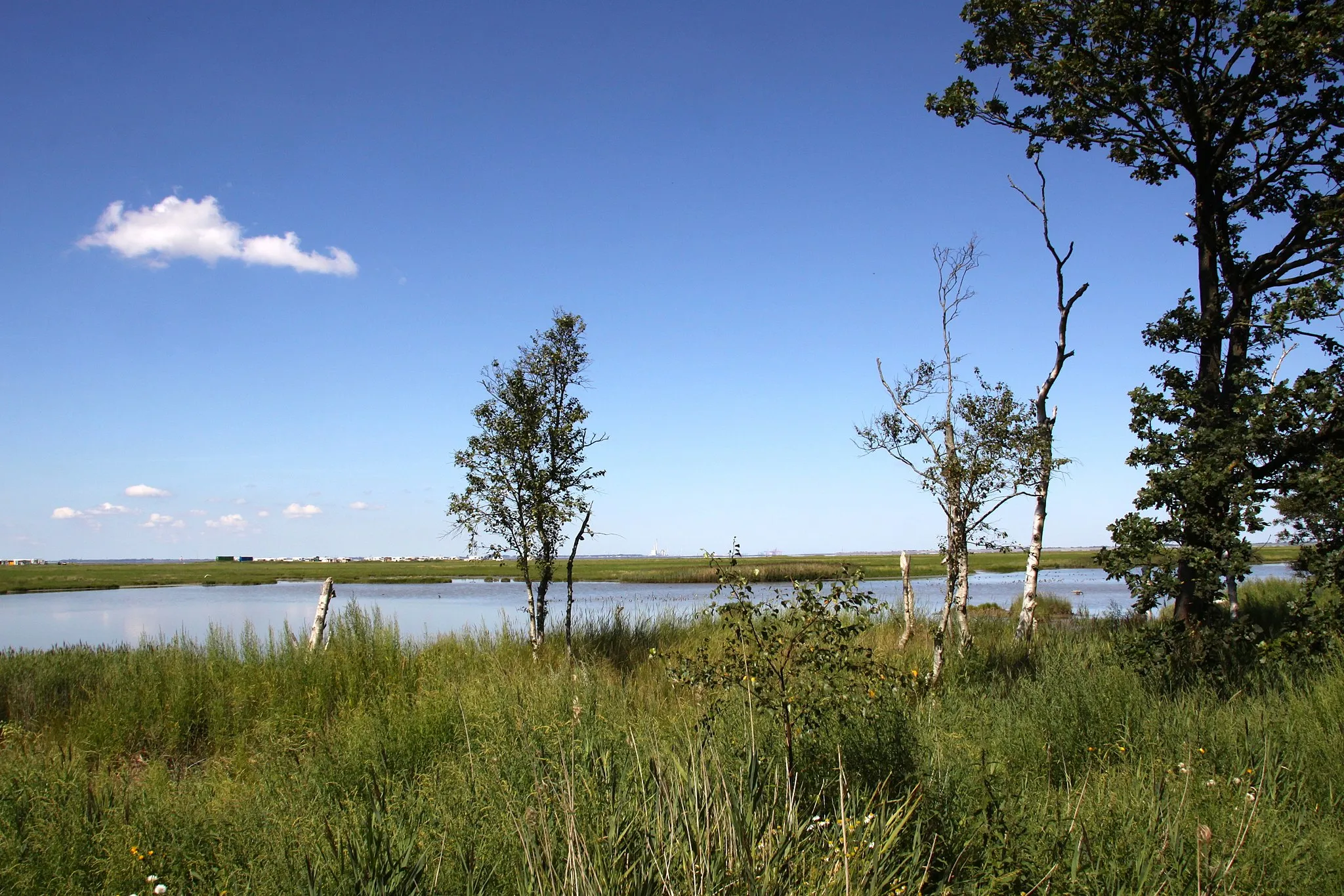 Photo showing: Im Schwimmenden Moor von Sehestedt