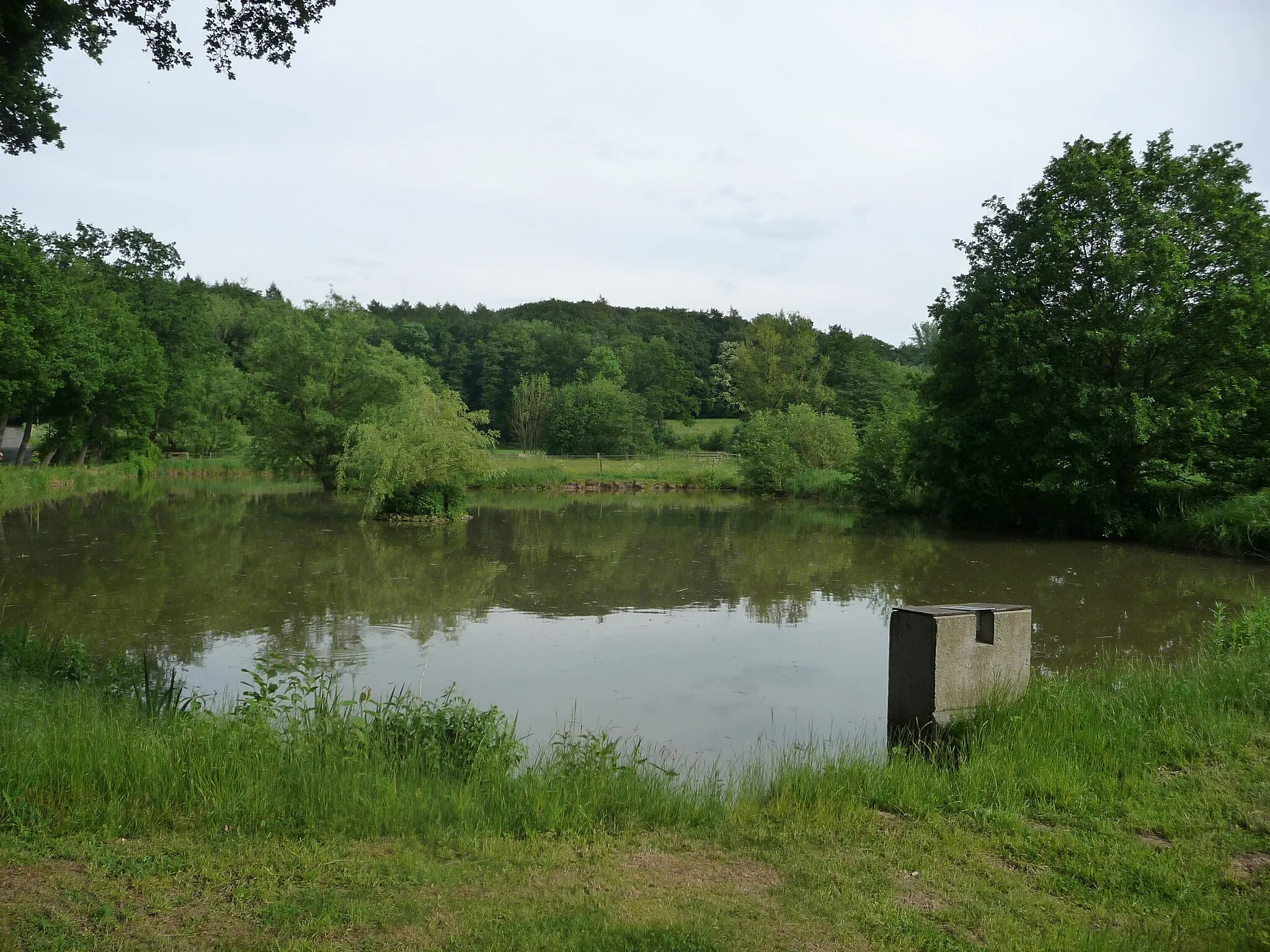 Photo showing: Eine abwechslungsreiche Gegend mit Wald, Wiese und Teichen. Besonders schön sind die Waldbäume im Wasser. Direkt nebenan befindet sich das Schloss Königsbrück.