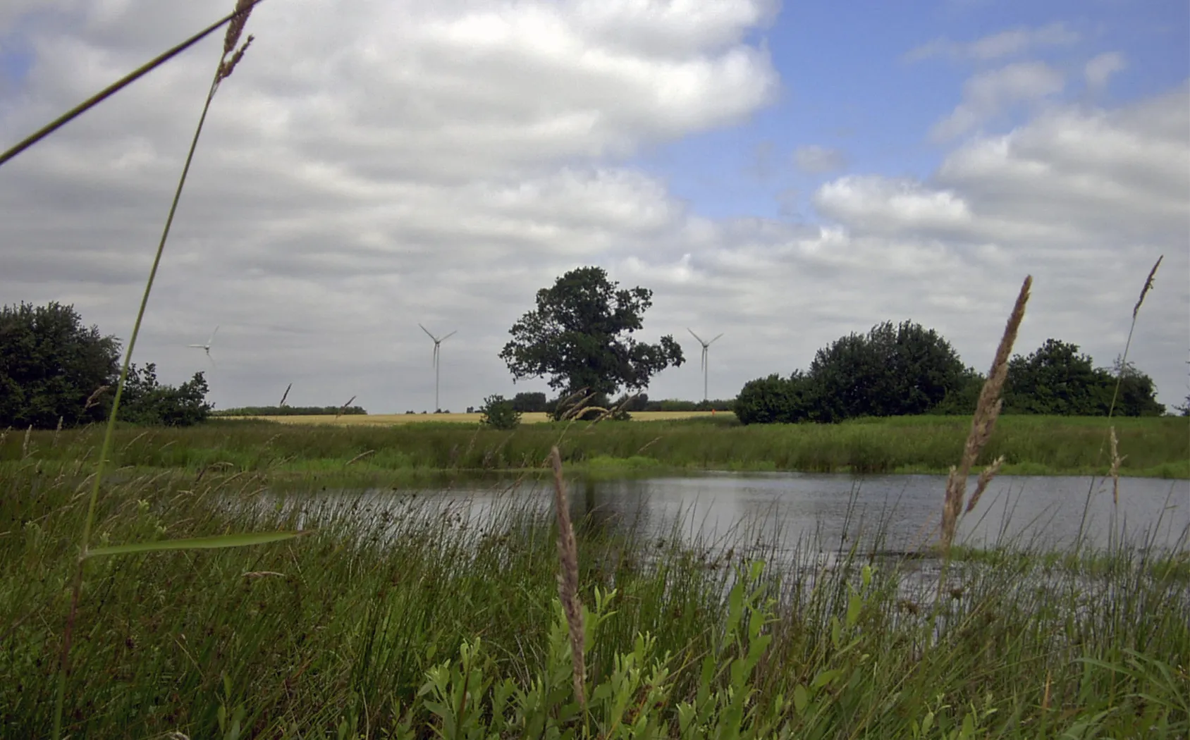 Photo showing: Schlatt in Syke, Naturschutzgebiet „Schlatt am Friedeholz“ (NSG HA 206; 3,7 ha)