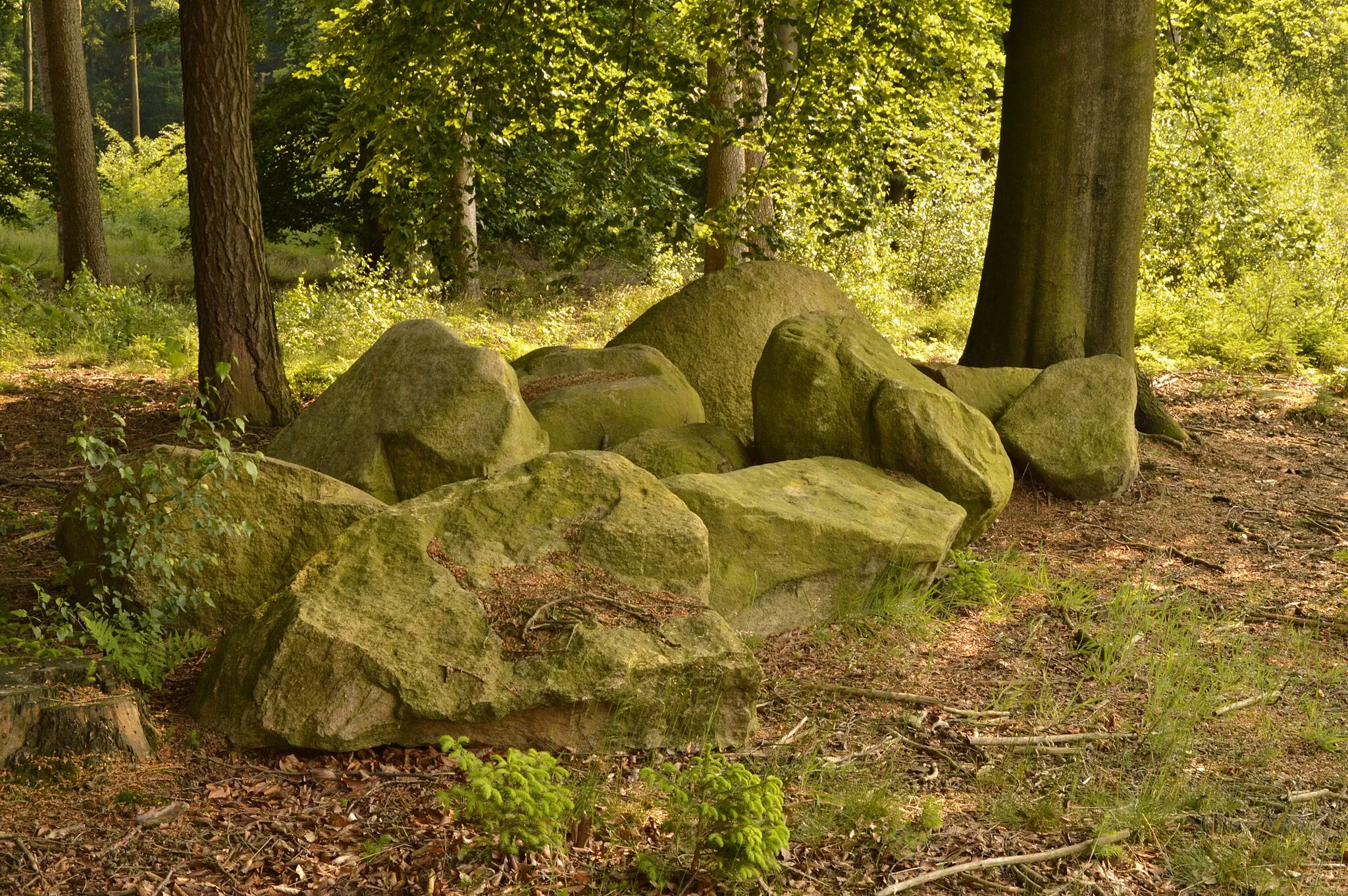 Photo showing: Findlinge im Steinernen Meer am Gattberg bei Belm