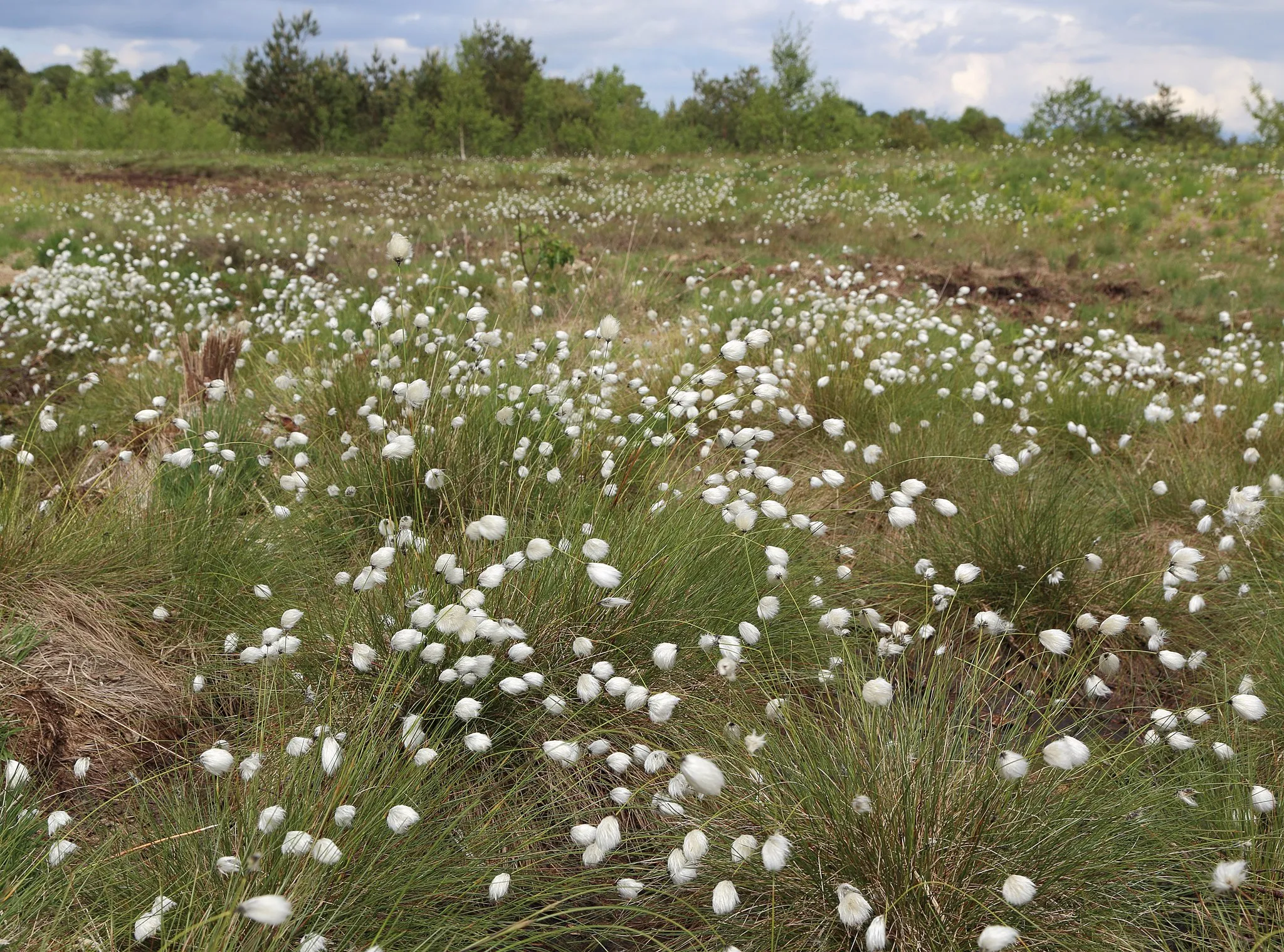 Photo showing: This is a picture of the protected area listed at WDPA under the ID