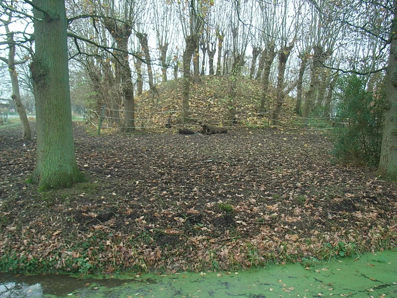 Photo showing: Jedutenhügel in Golzwarden-Schmalenfleth, Ortsteil von Brake (Unterweser); Ansicht von Osten