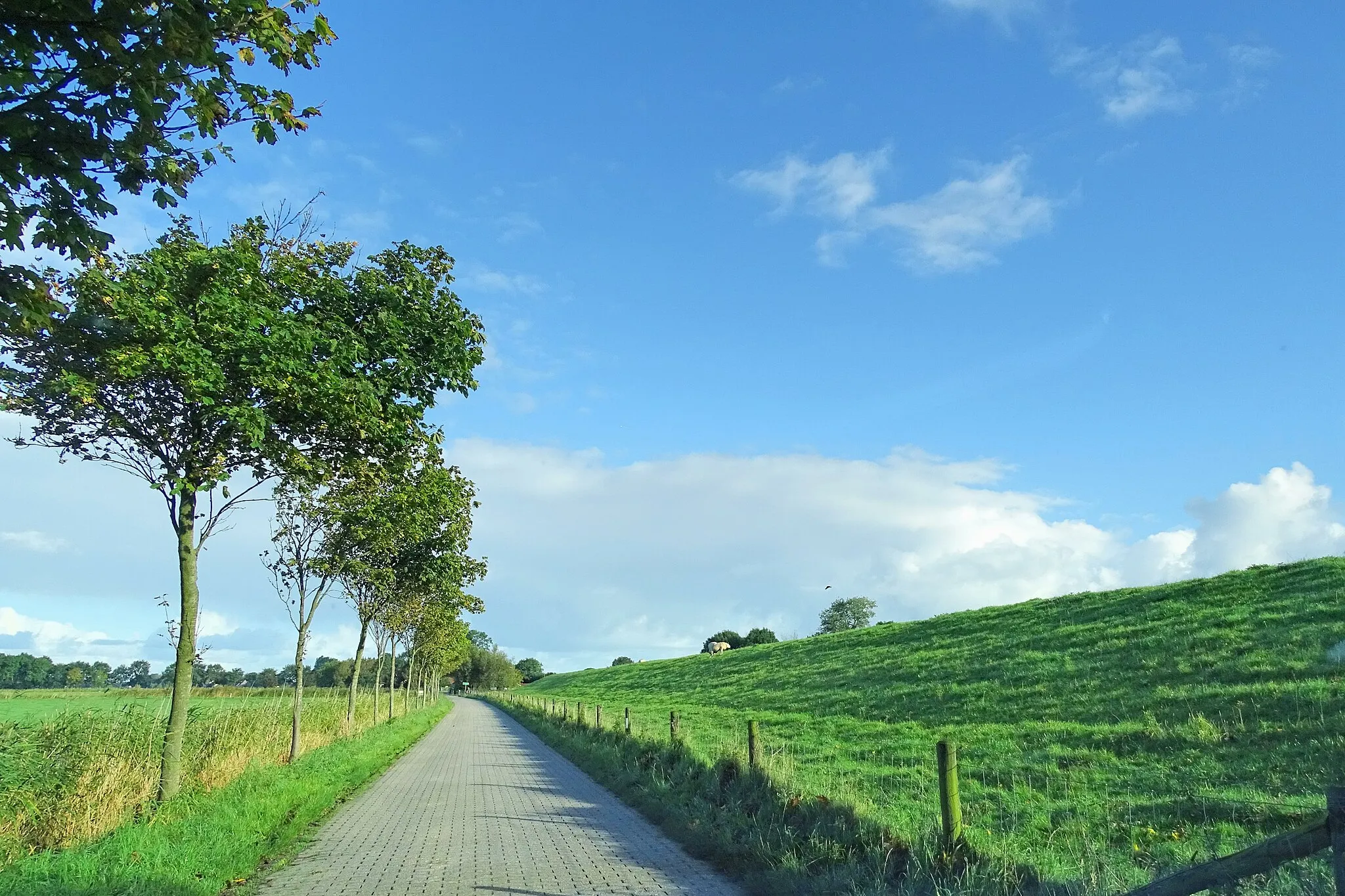 Photo showing: Wangerland, Germany