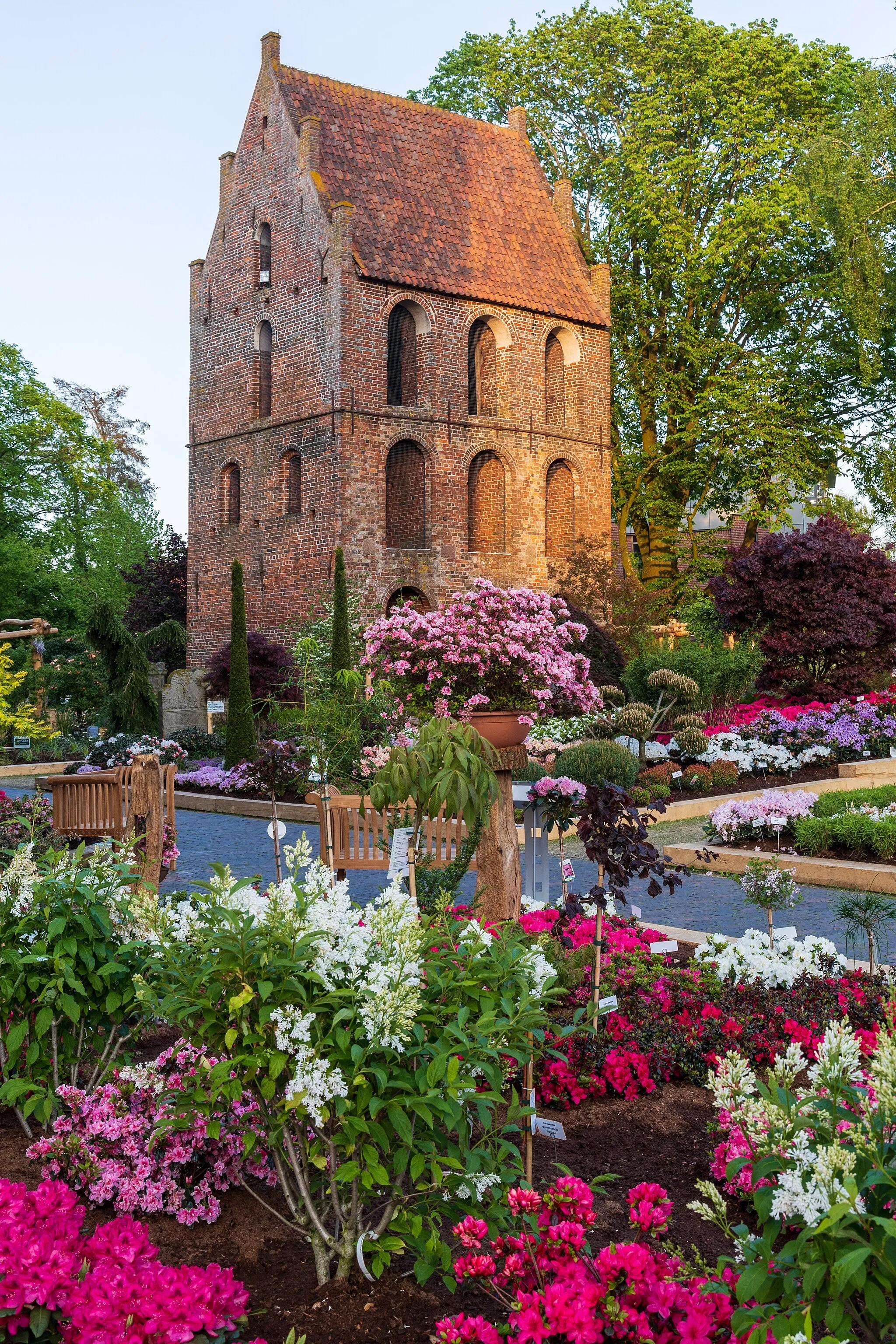 Photo showing: Rhodo 2023, Rhododendrons and azaleas show in the historic town center of Westerstede, Lower Saxony