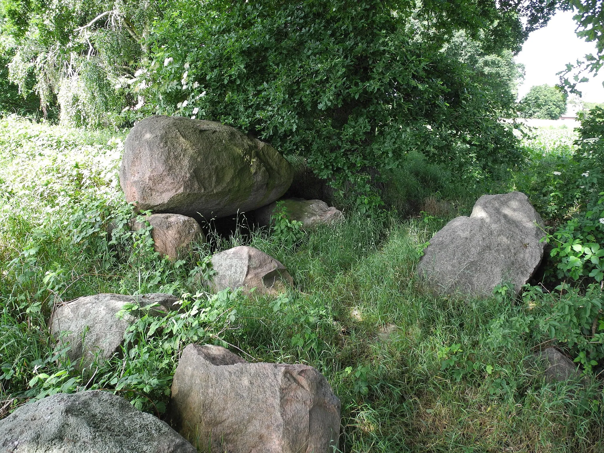 Photo showing: Megalithic grave "auf dem Ladenesch" (district Cloppenburg, Lower Saxony, Germany).