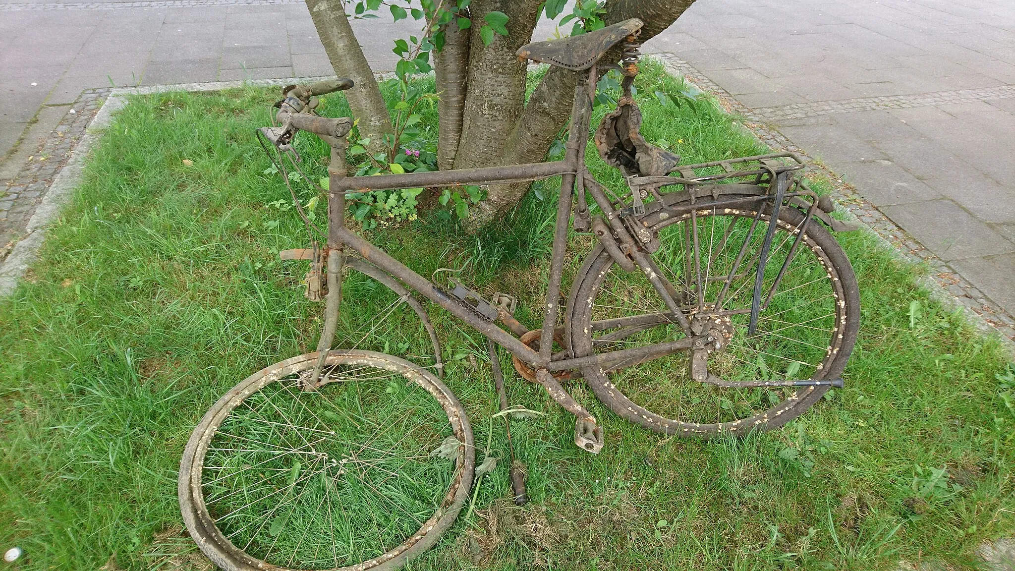 Photo showing: Am Rand des Schlossgartens Oldenburg: Ein Fahrrad, welches vor einiger Zeit aus dem Schlossgartenteich gefischt wurde.