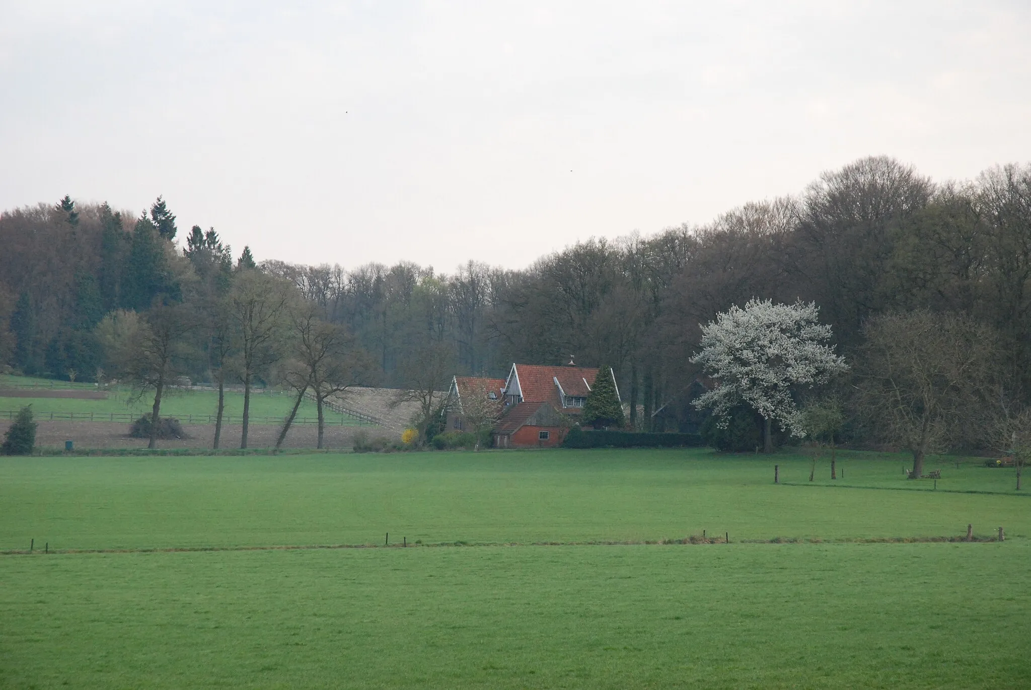 Photo showing: A farm at the Tankenberg.