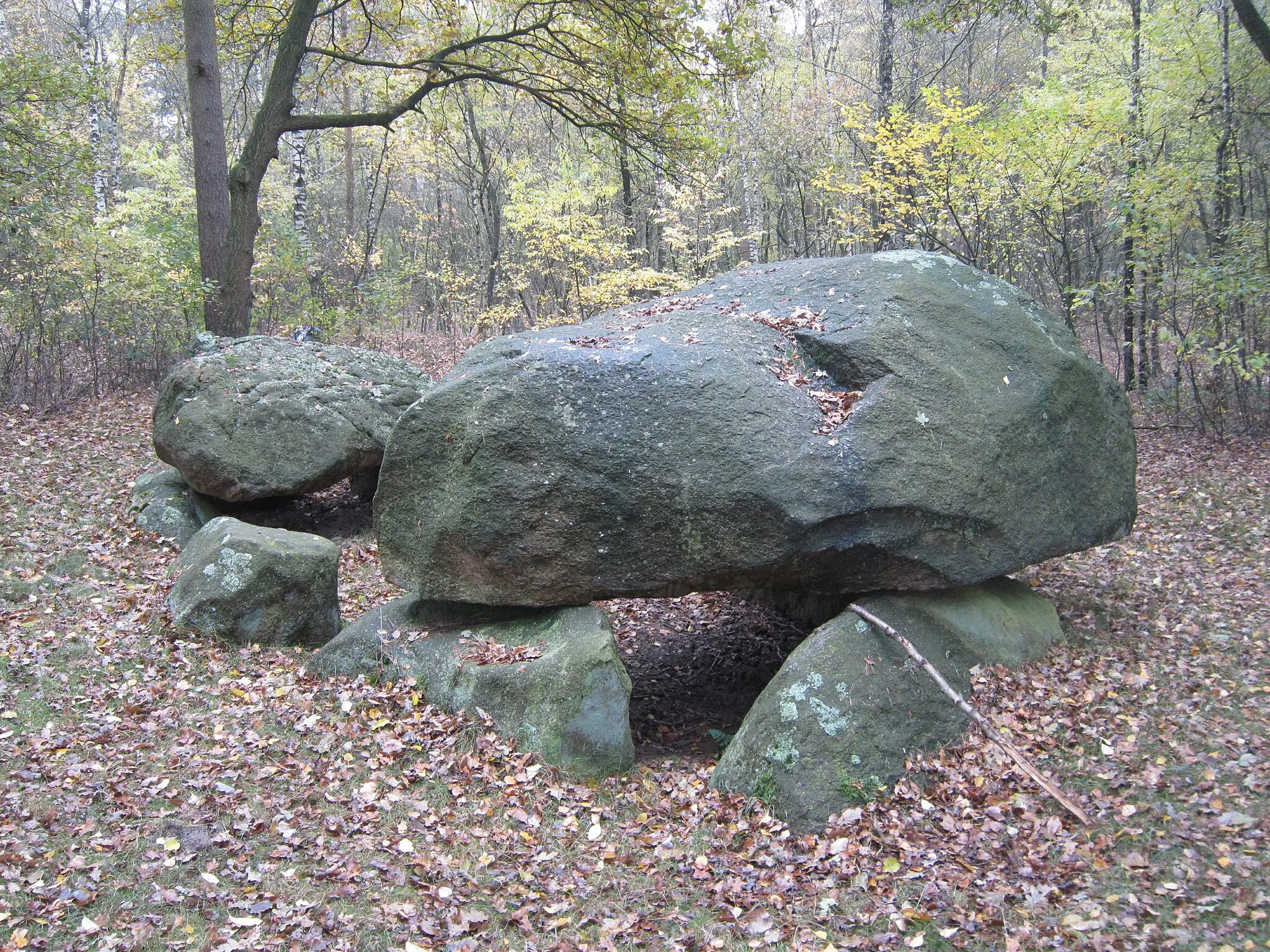 Photo showing: Grosssteingrab Apeldorn (Stadt Meppen)