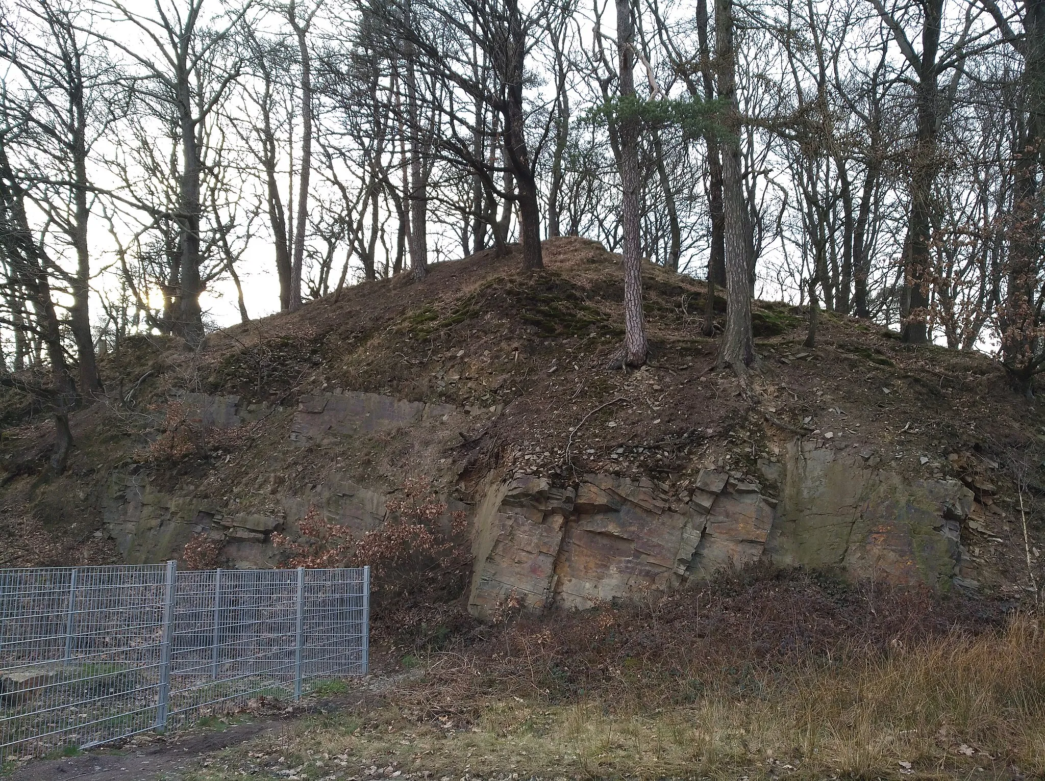 Photo showing: Historischer Lechtinger Steinbruch am Piesberg