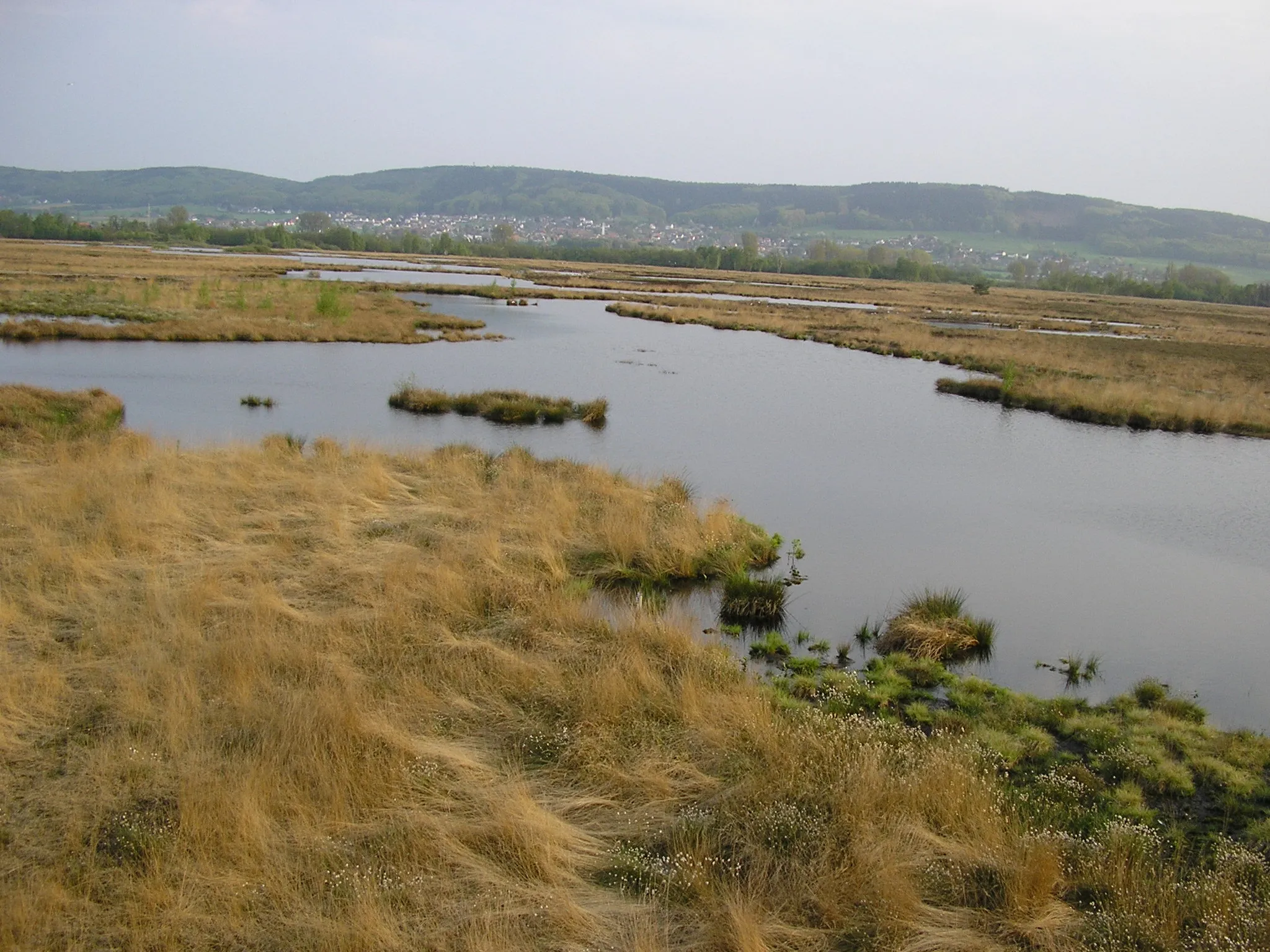 Photo showing: Lake of Großes Torfmoor (Great Swamp) in Lübbecke, District of Minden-Lübbecke, North Rhine-Westphalia, Germany.