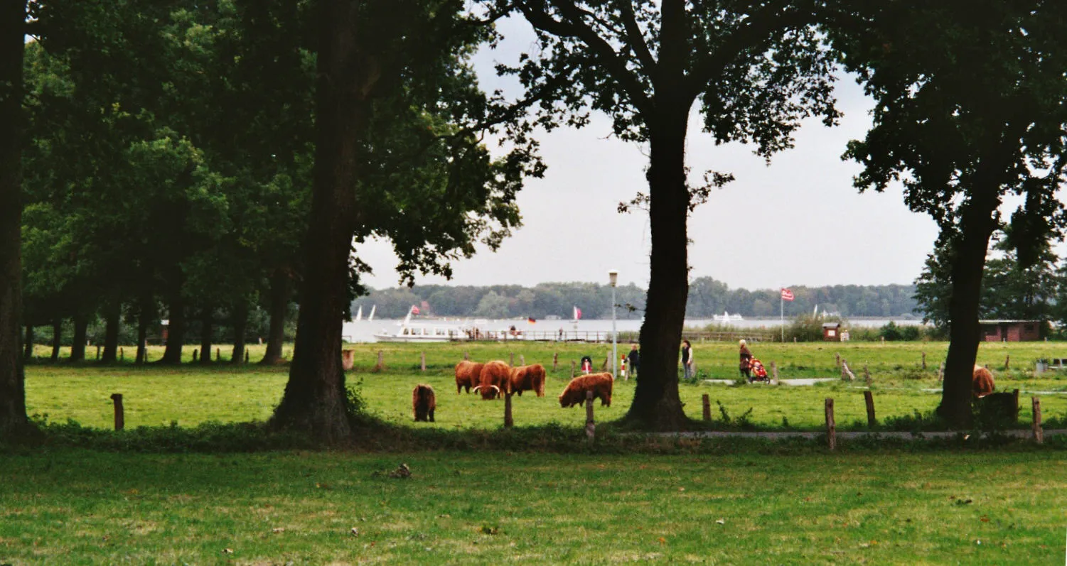 Photo showing: Blick aufs Zwischenahner Meer von Aschhausen aus