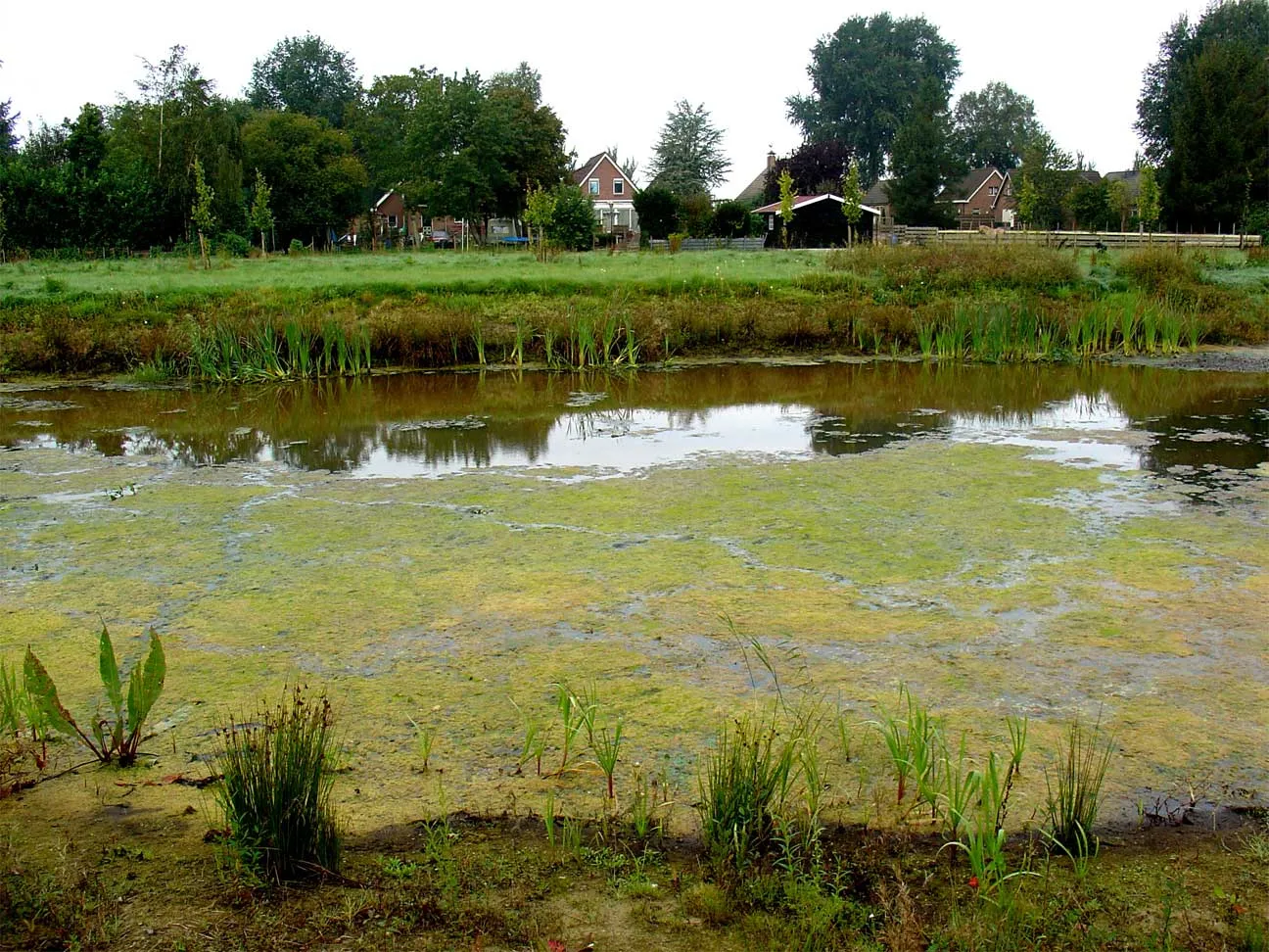 Photo showing: De Runde bij Foxel met uitzicht op de woningen aan het Verlengde Scholtenskanaal