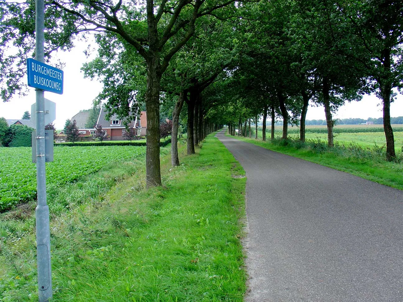 Photo showing: Burgemeester Buiskoolweg in Over de Dijkl