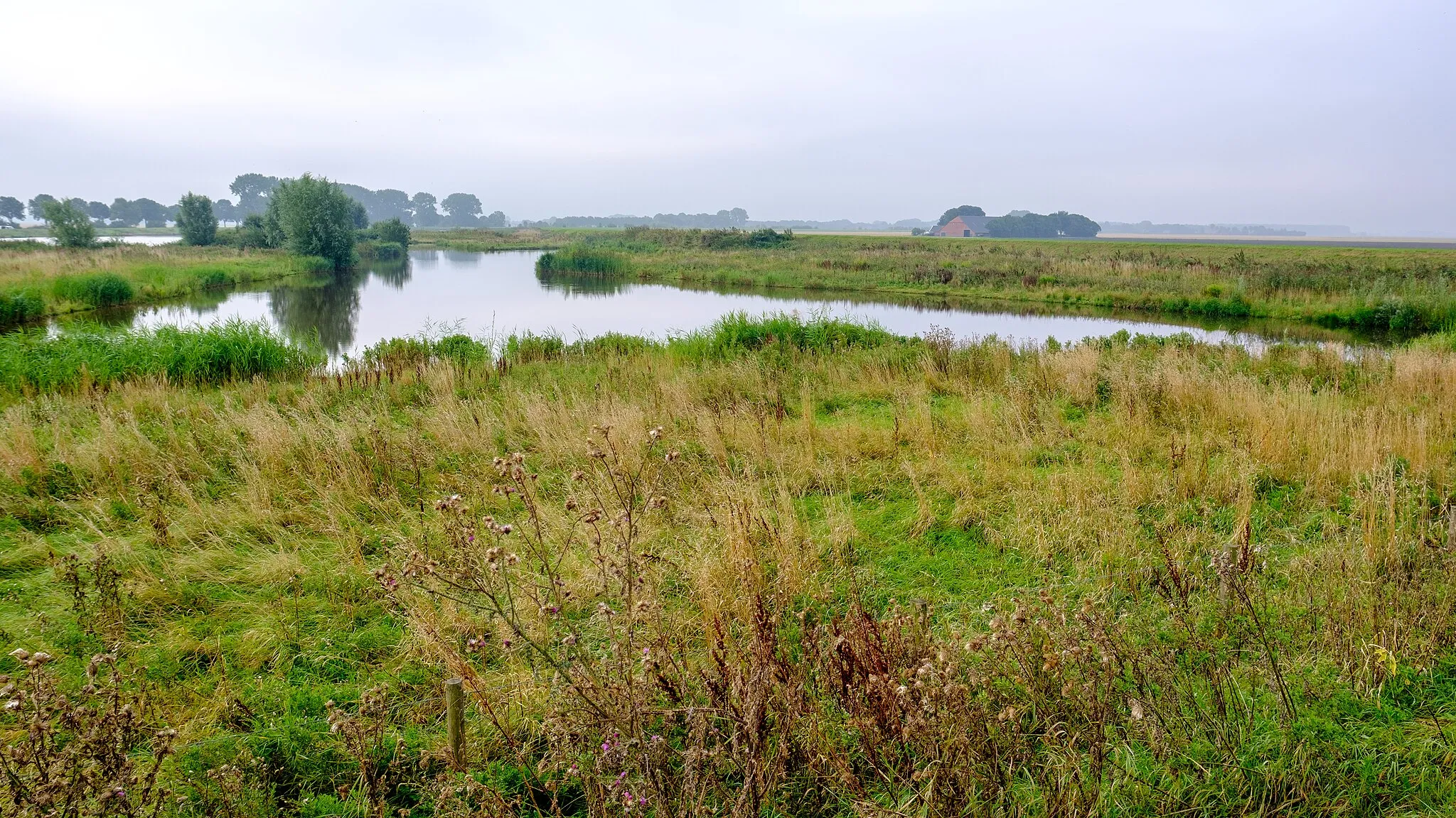 Photo showing: Rond 2015 gerealiseerde ecologische zone langs de Westerwoldse Aa ter plaatse van het vroegere gehucht Oude Statenzijl