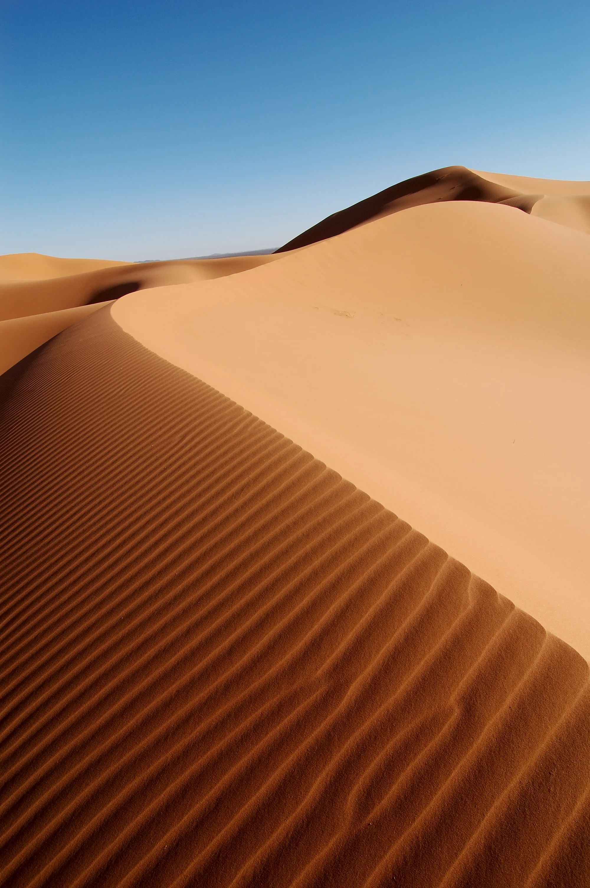 Photo showing: Erg Chebbi, Morocco, Africa