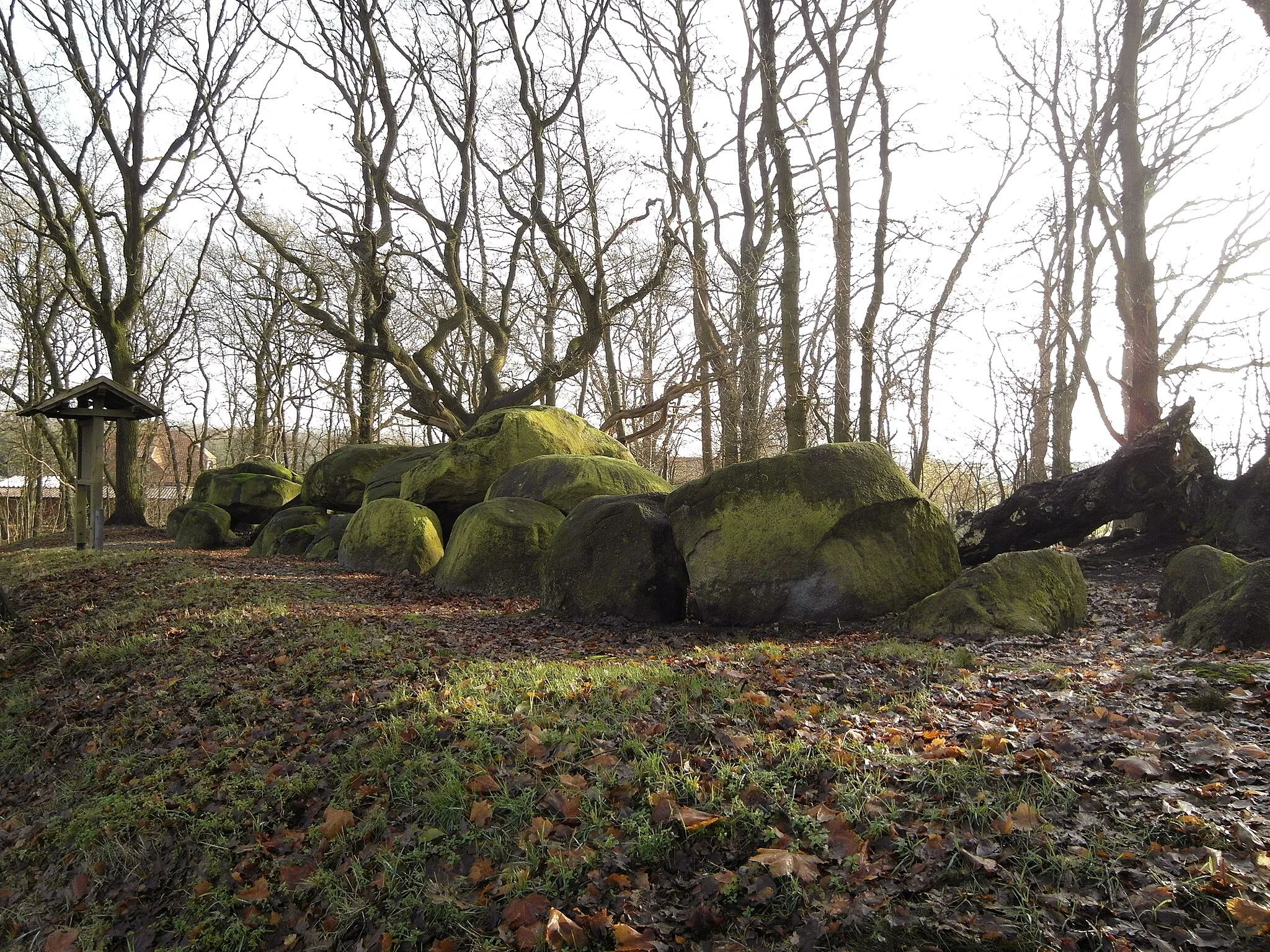 Photo showing: Megalithic tomb "Auf Bruneforths Esch" (district Emsland in Lower Saxony, Germany).