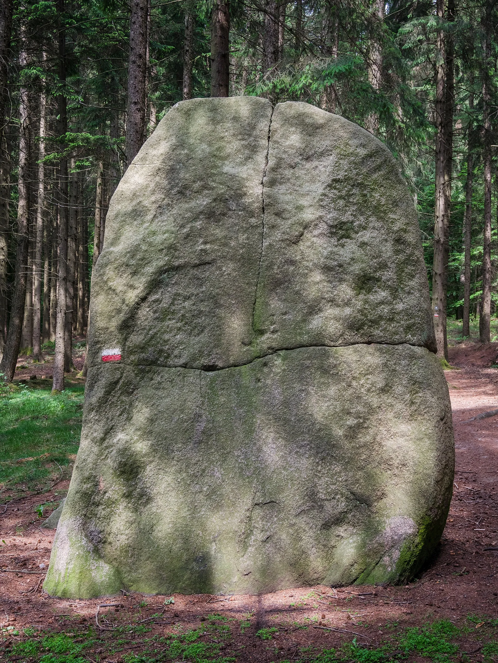 Photo showing: Süntelstein - a menhir in the woods. Belm-Vehrte, Osnabrück Land, Lower Saxony, Germany