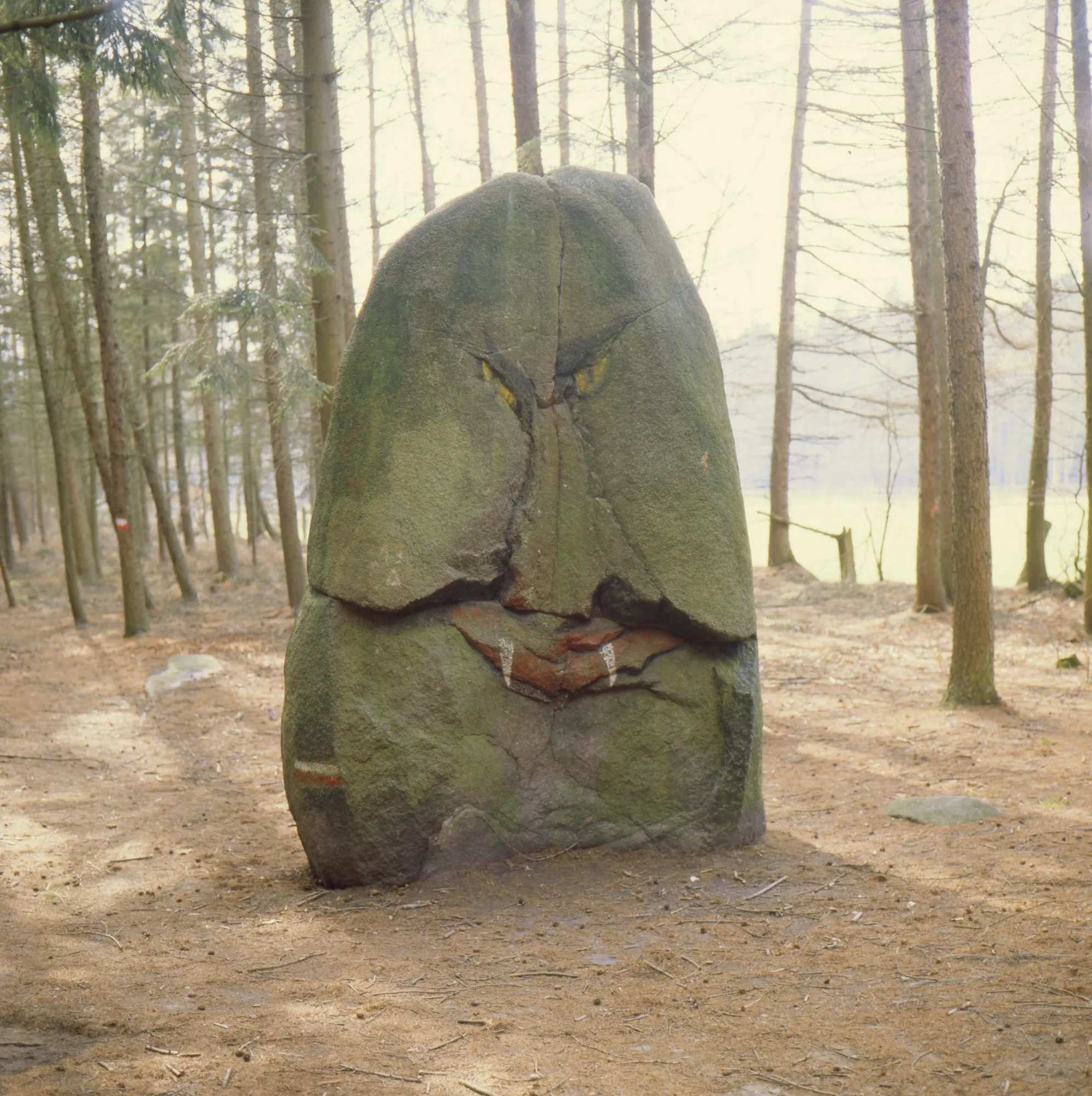 Photo showing: Menhir "Süntelstein"