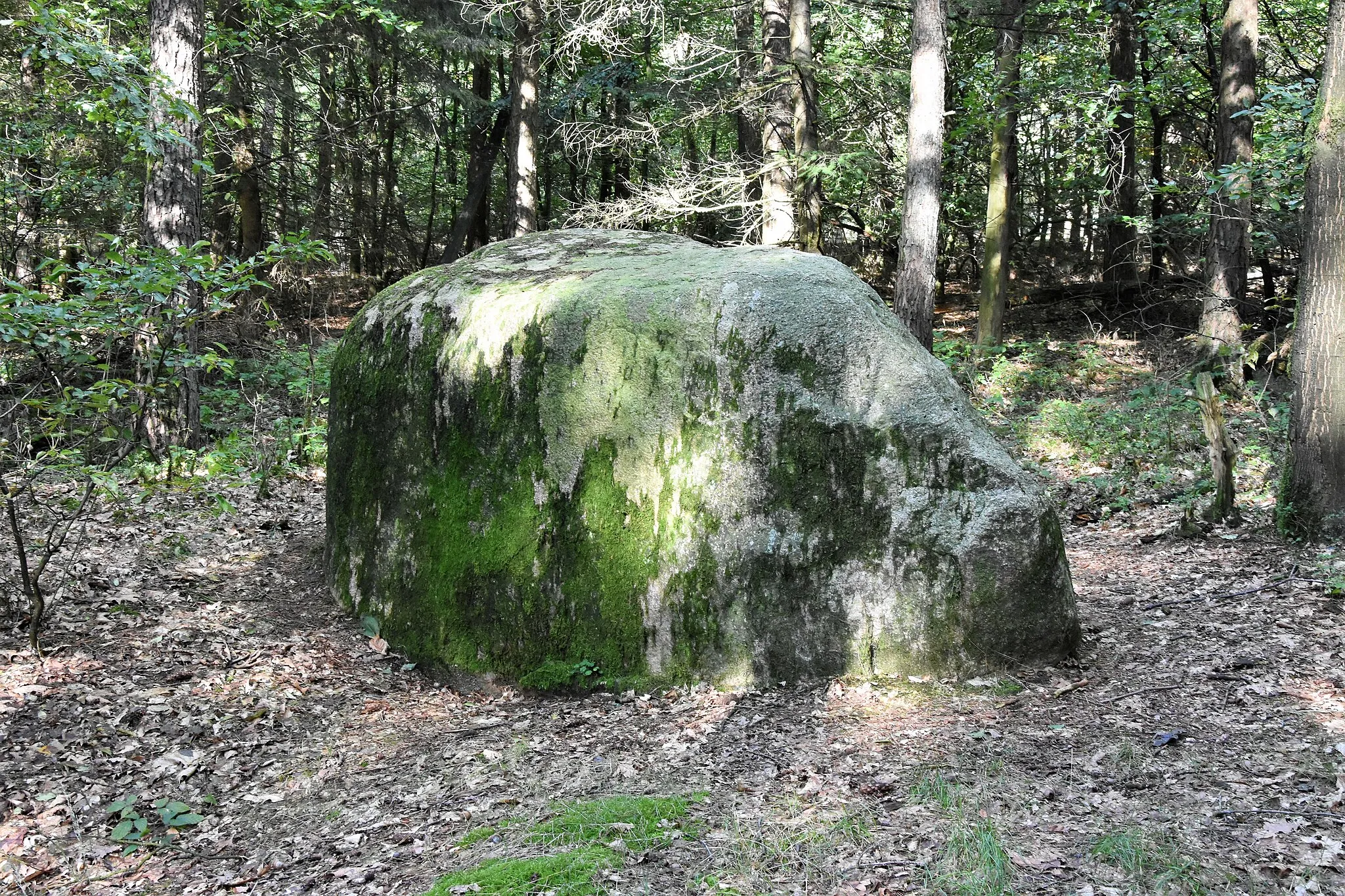 Photo showing: ND OS 00015, Findling „Opferstein Dalumer Brotschapp“ in Bippen