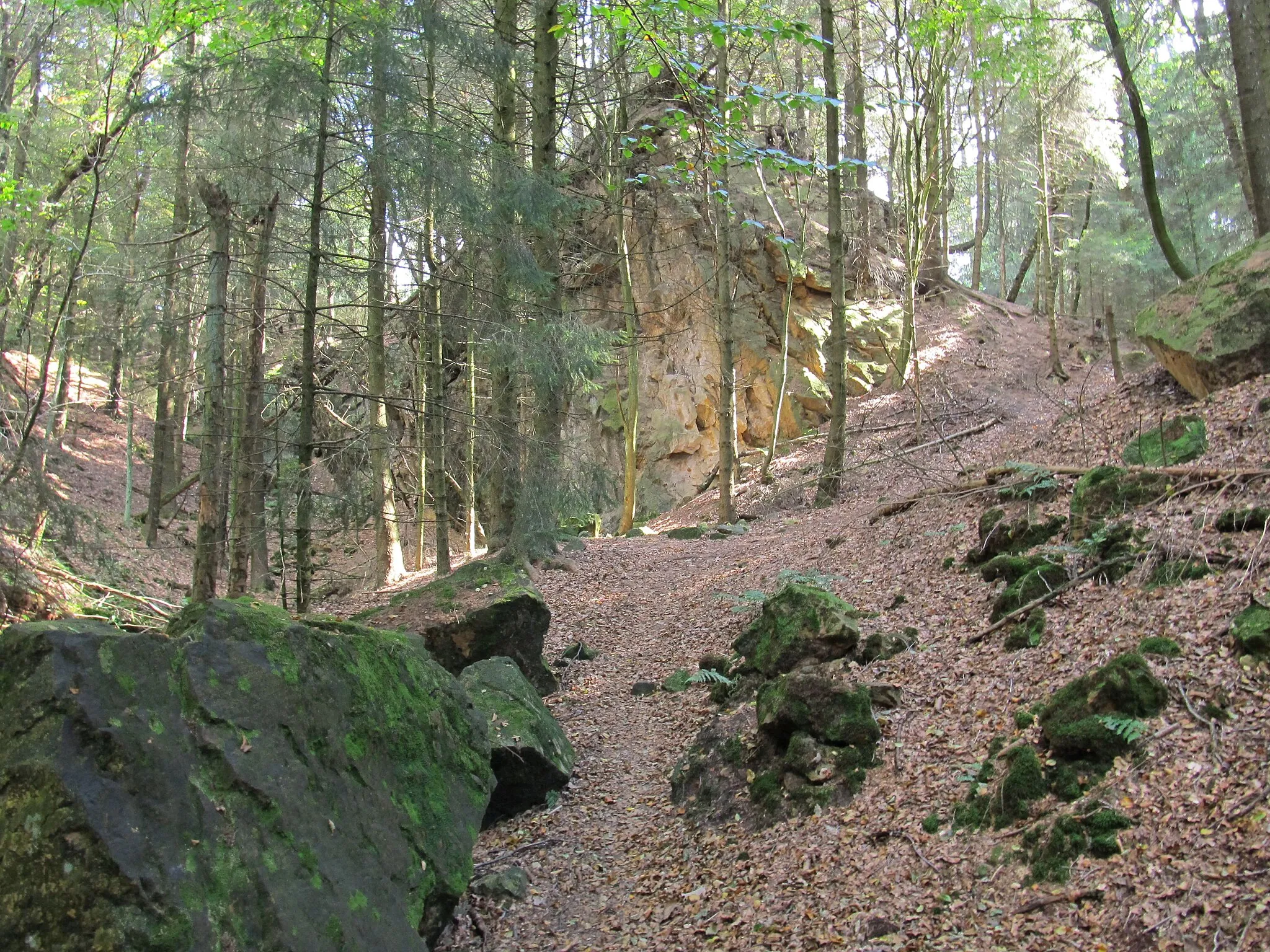Photo showing: Teutoburg Forest: Old surface quarry at the Hohnsberg