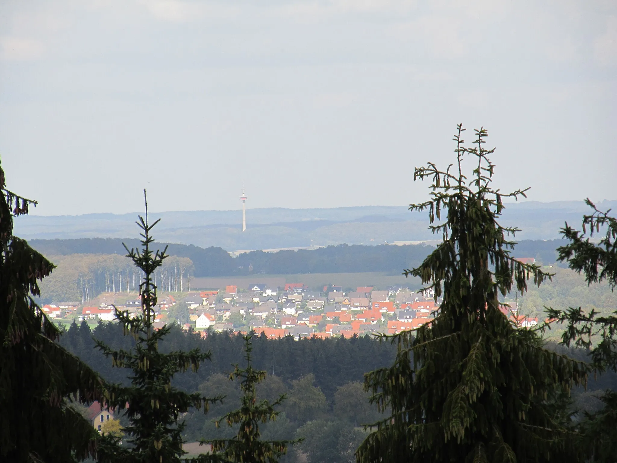 Photo showing: Teutoburg Forest: Look from the Hohnsberg over Kloster Oesede to the Schinkel-Tower in Osnabrück