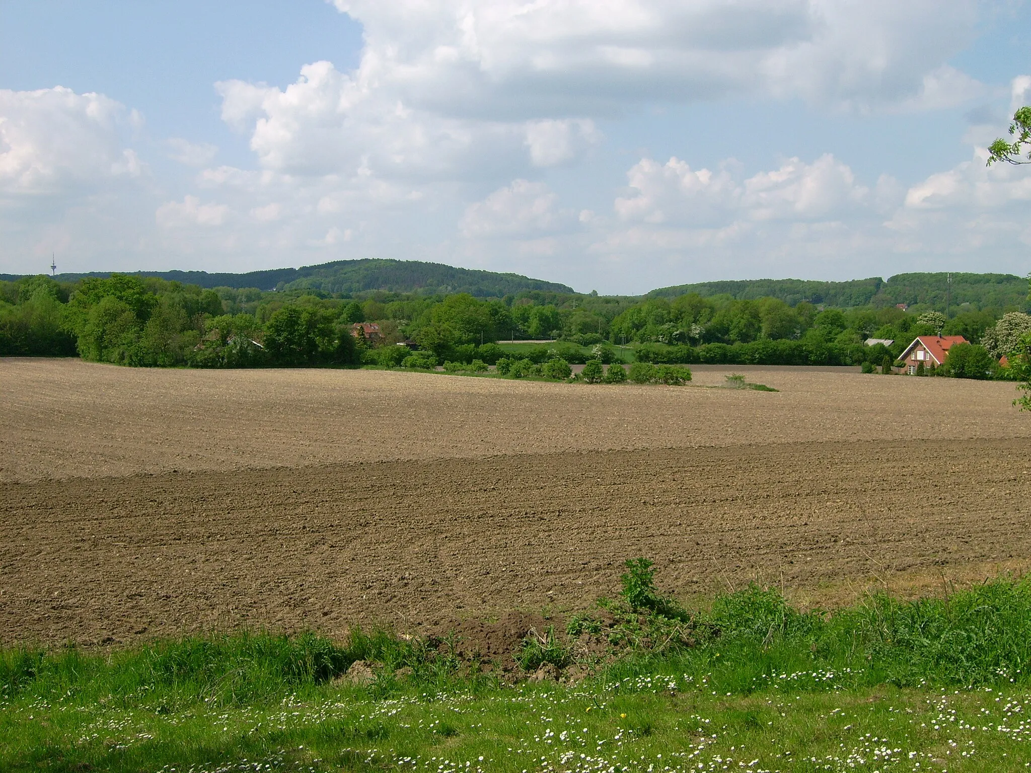 Photo showing: Leedener Berg und Fangberg