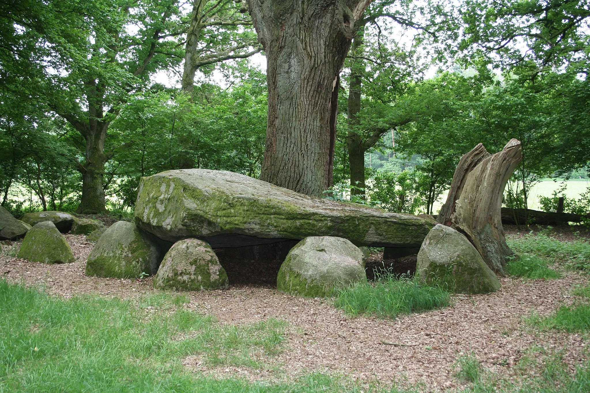 Photo showing: Megalithic tomb “Heidenopfertisch” at Engelmannsbäke