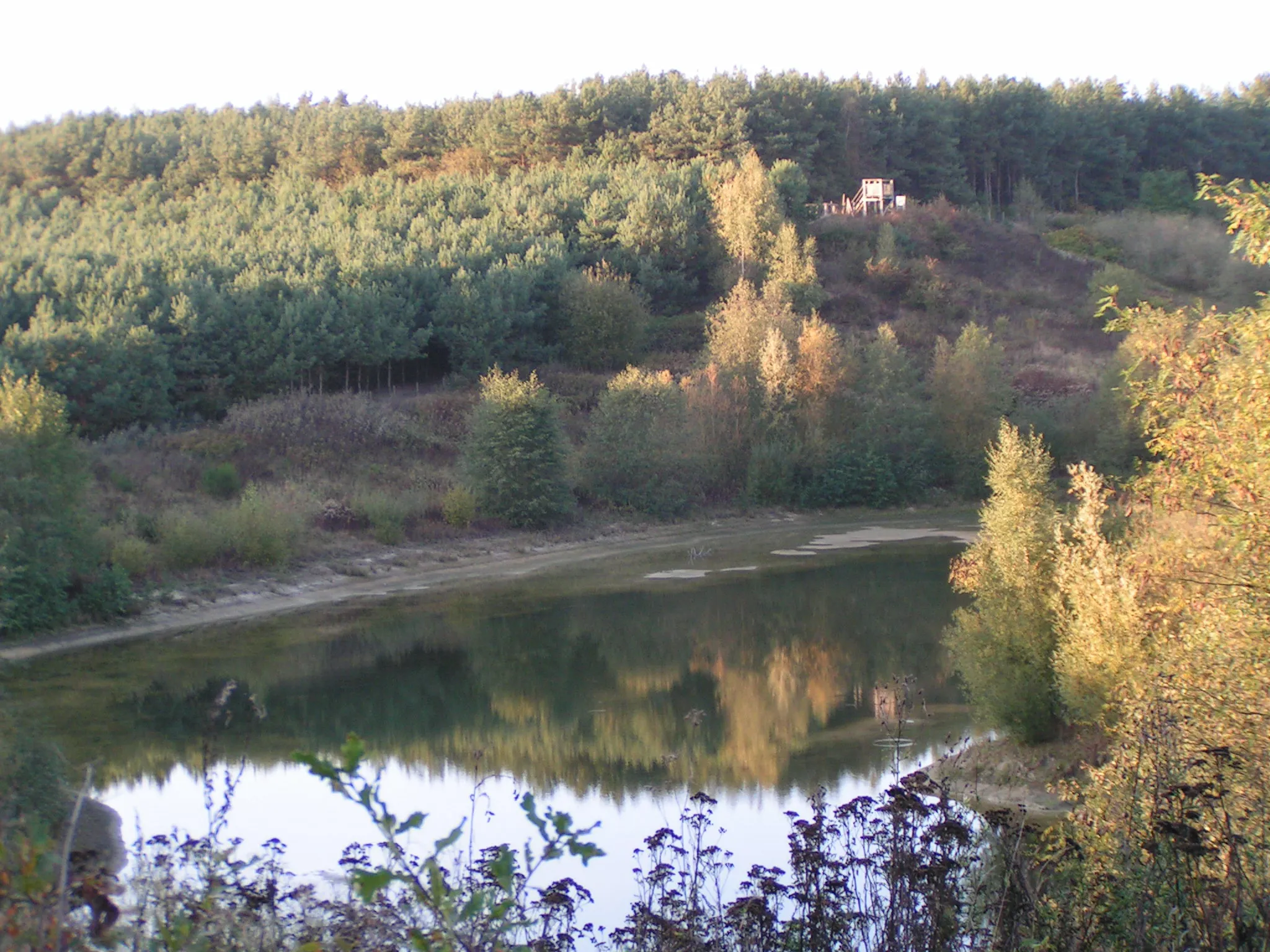 Photo showing: Biotop (ehemalige Sandkuhle) im Lohner Stadtteil Hamberg